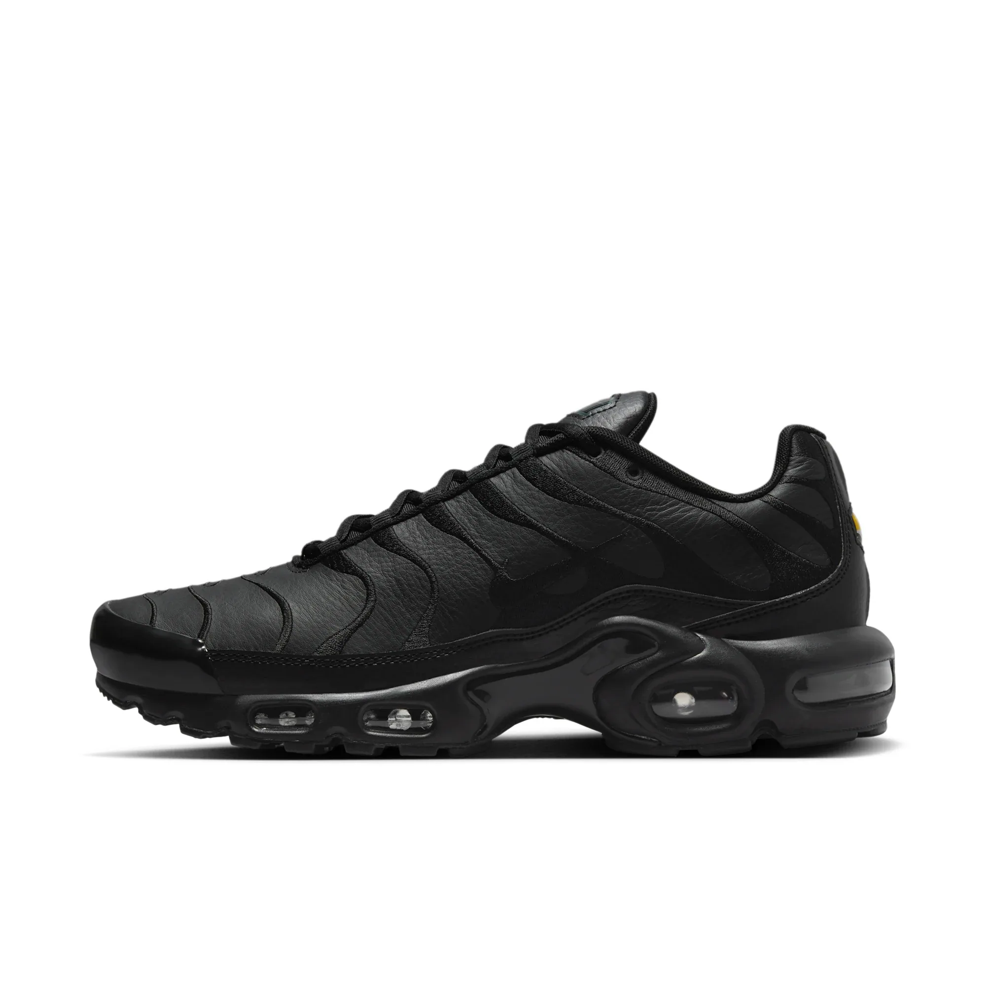 Nike Air Max Plus
