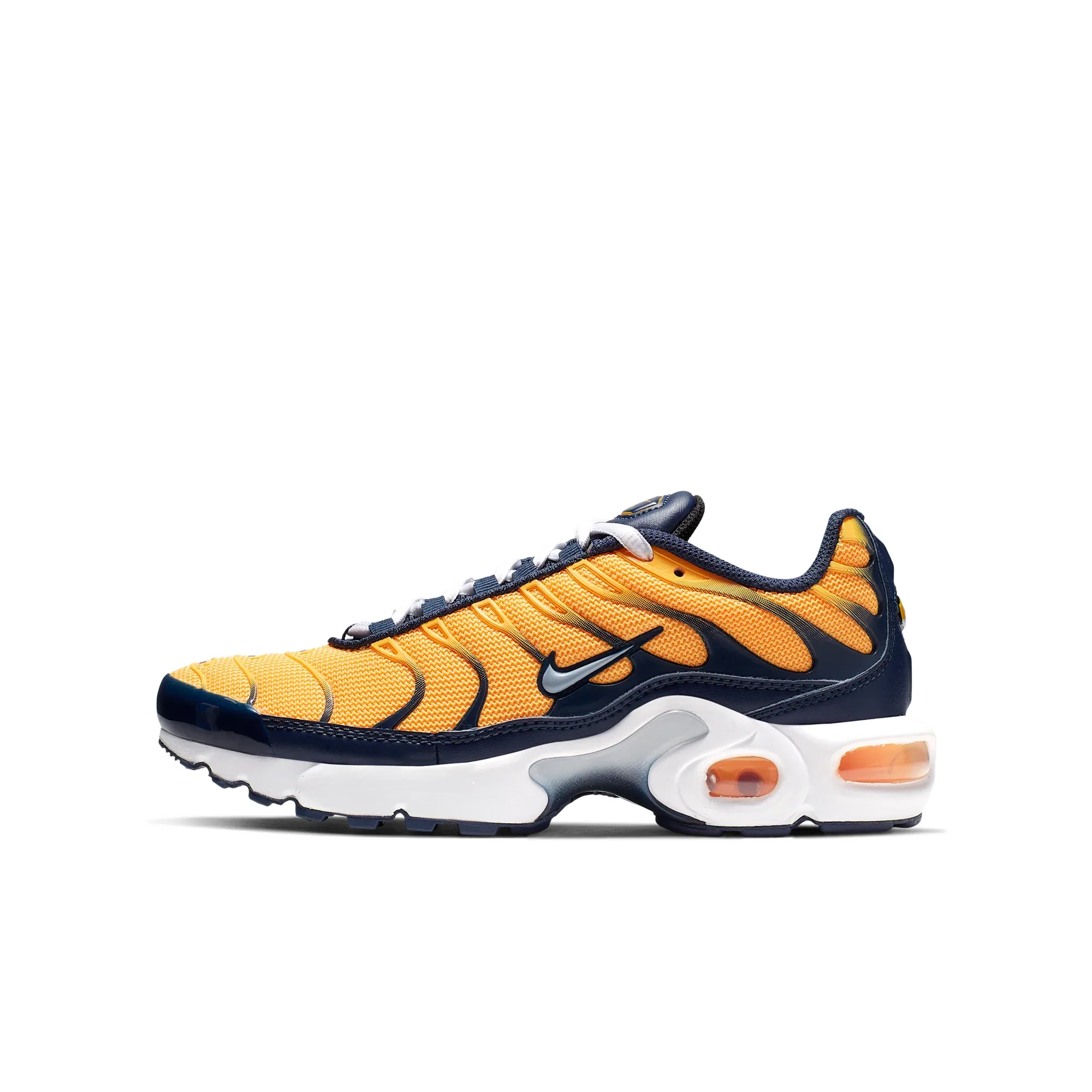 Nike Air Max Plus RF