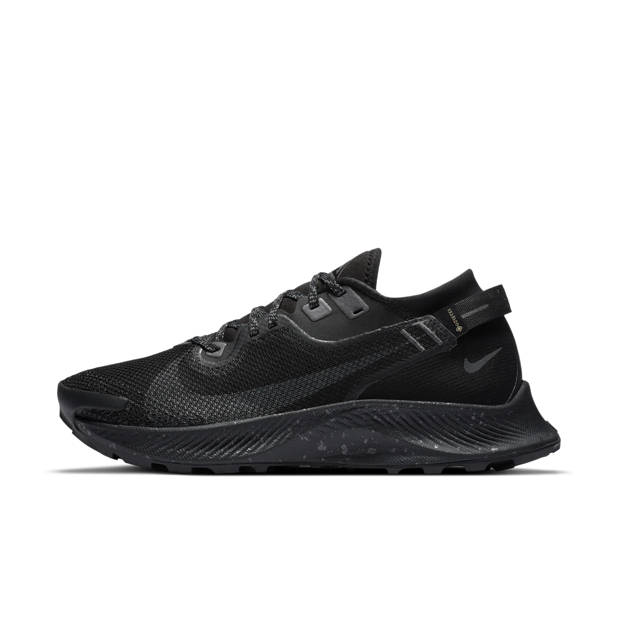 Nike Pegasus Trail 2 GORE-TEX