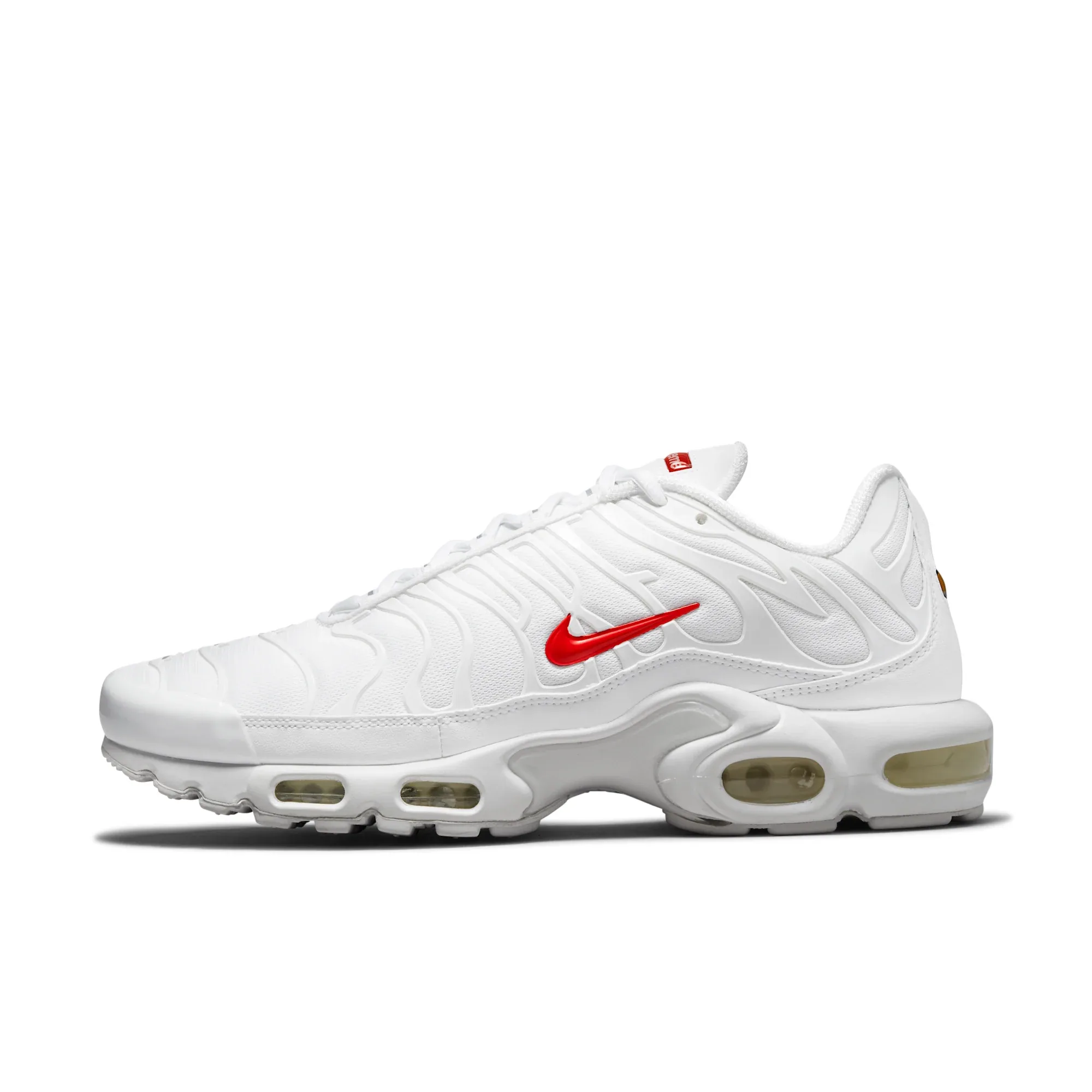 Nike x Supreme Air Max Plus TN