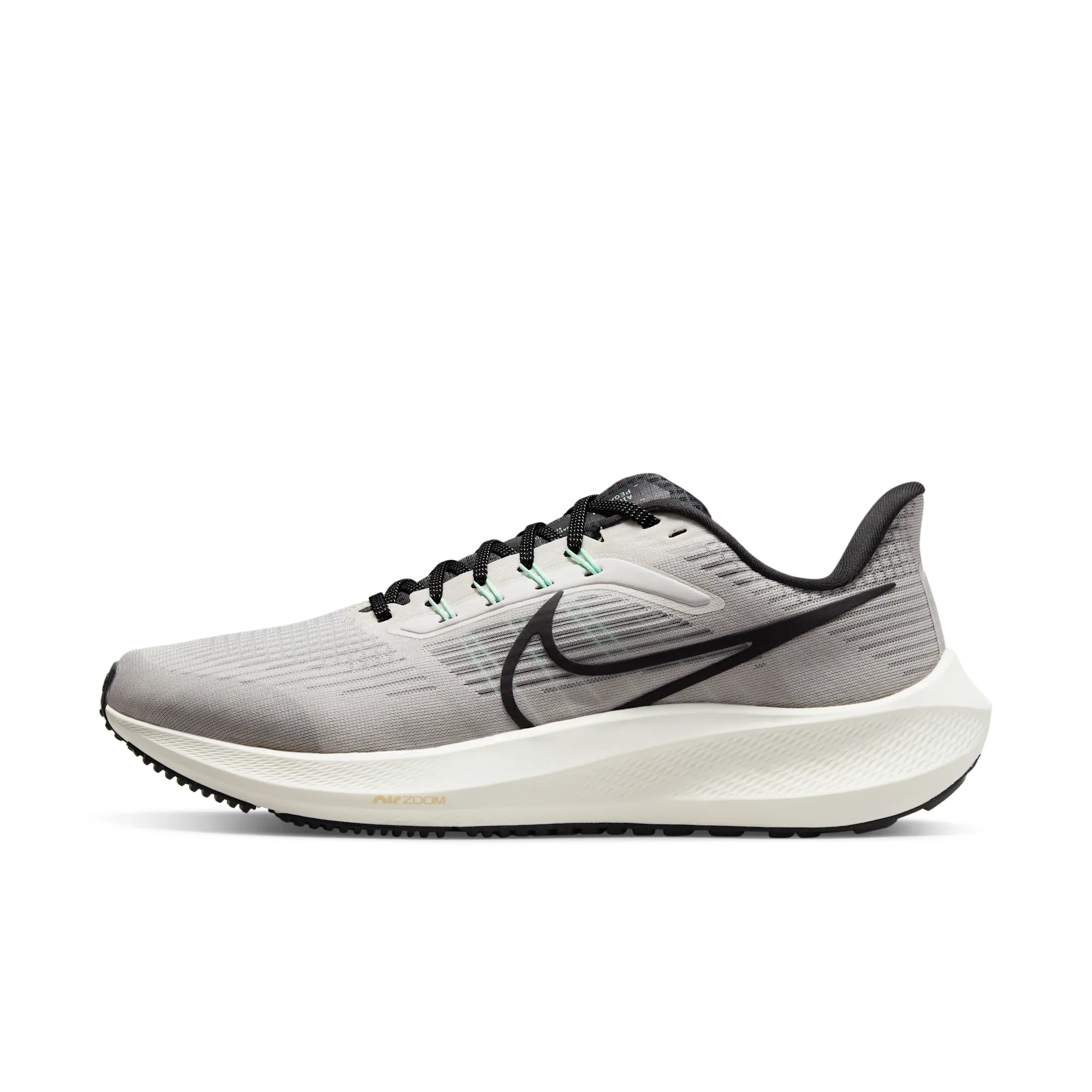 Nike Pegasus 39