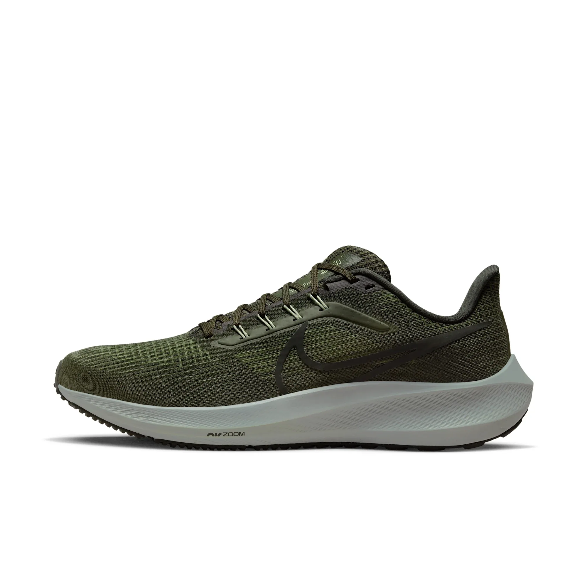 Nike Pegasus 39
