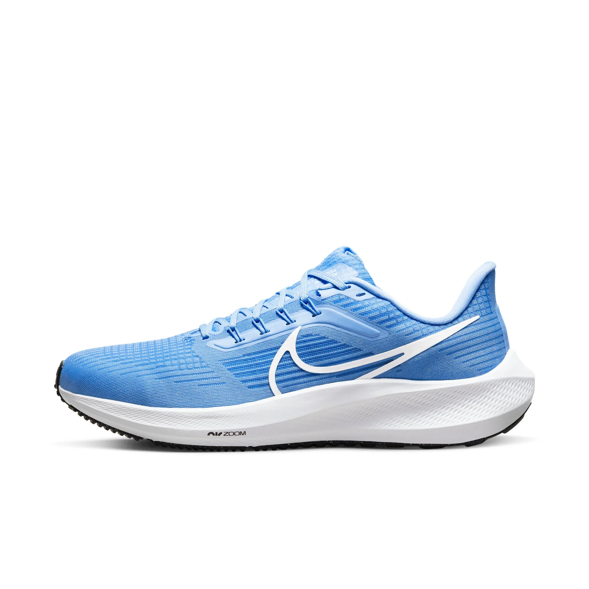 Nike Pegasus 39