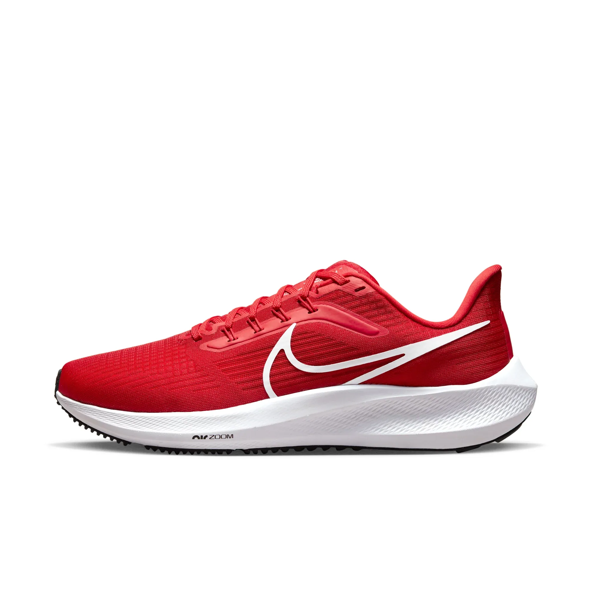 Nike Pegasus 39
