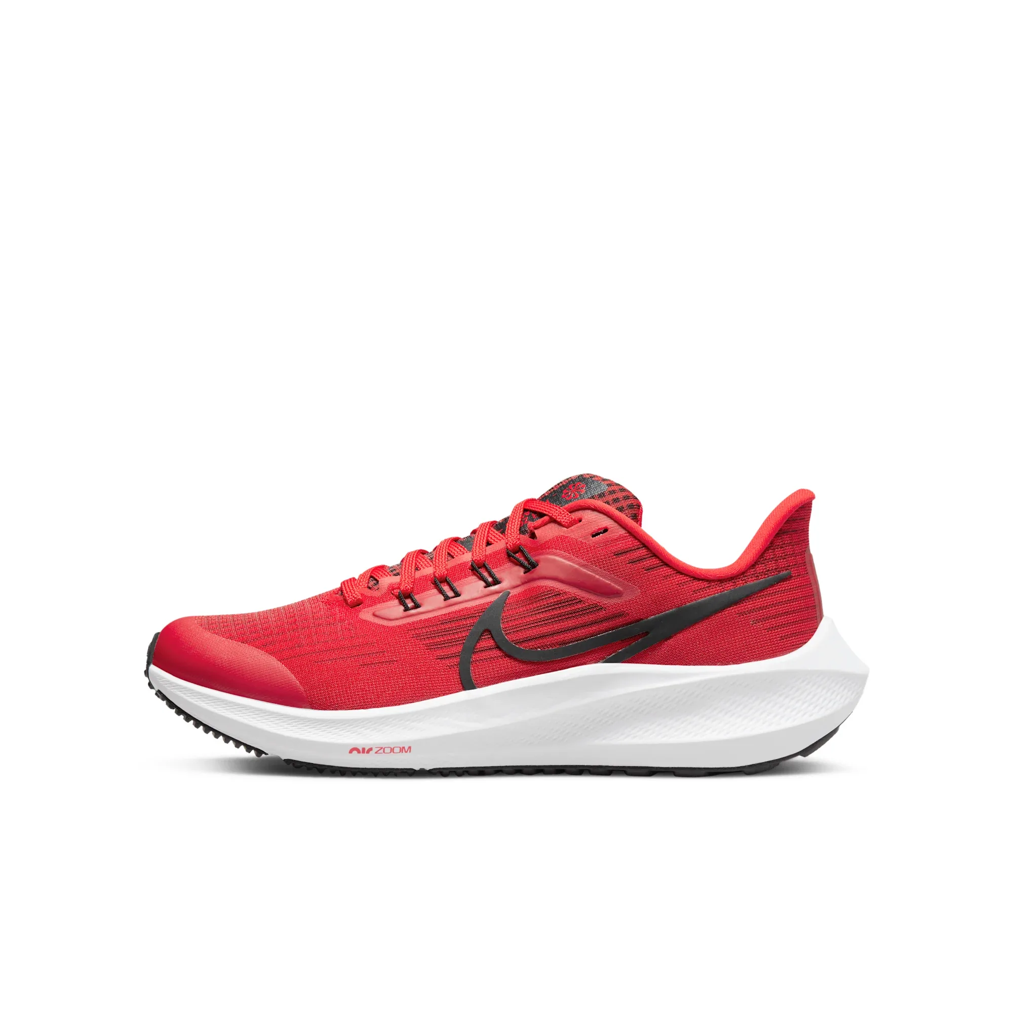 Nike Air Zoom Pegasus 39