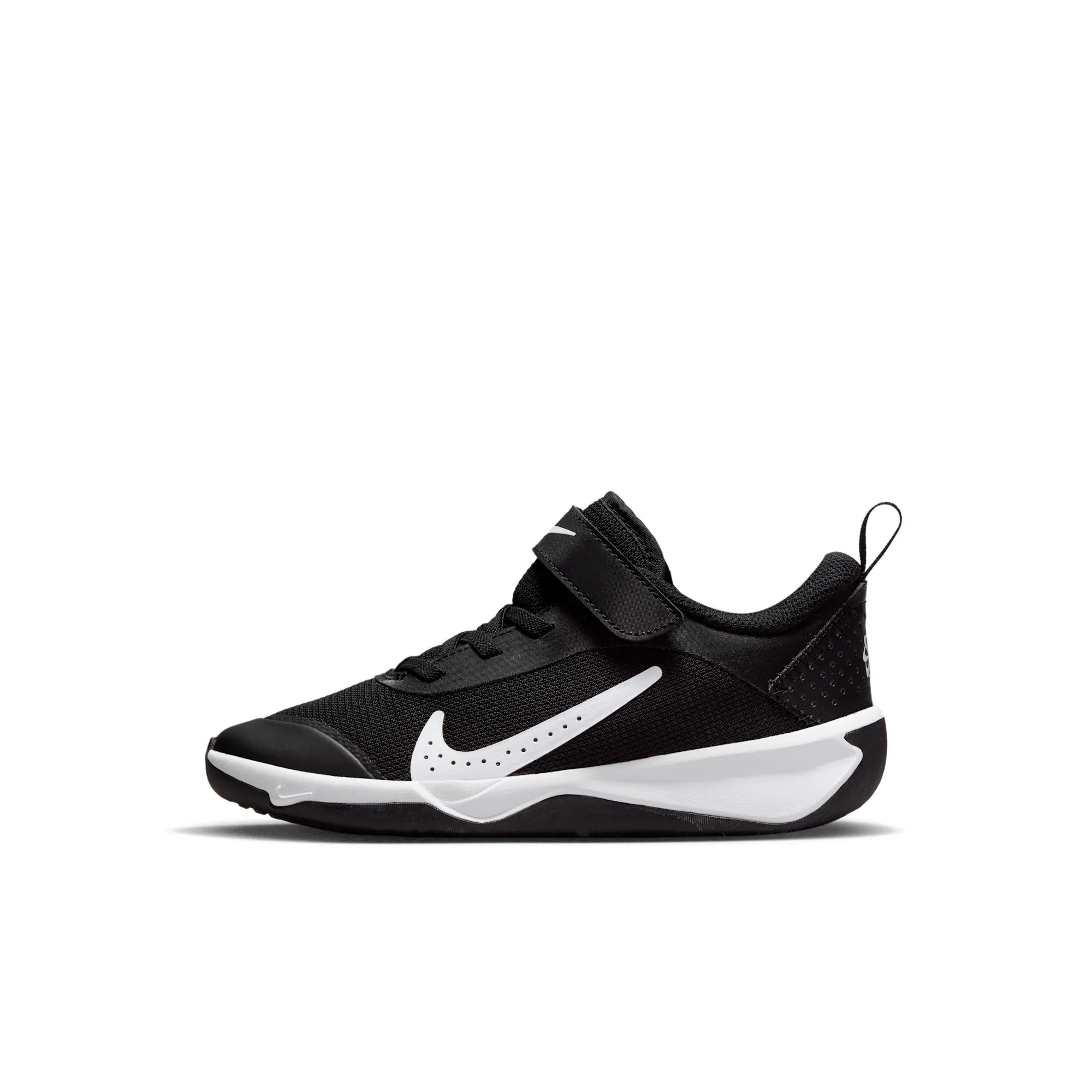 Nike Omni Multi-Court