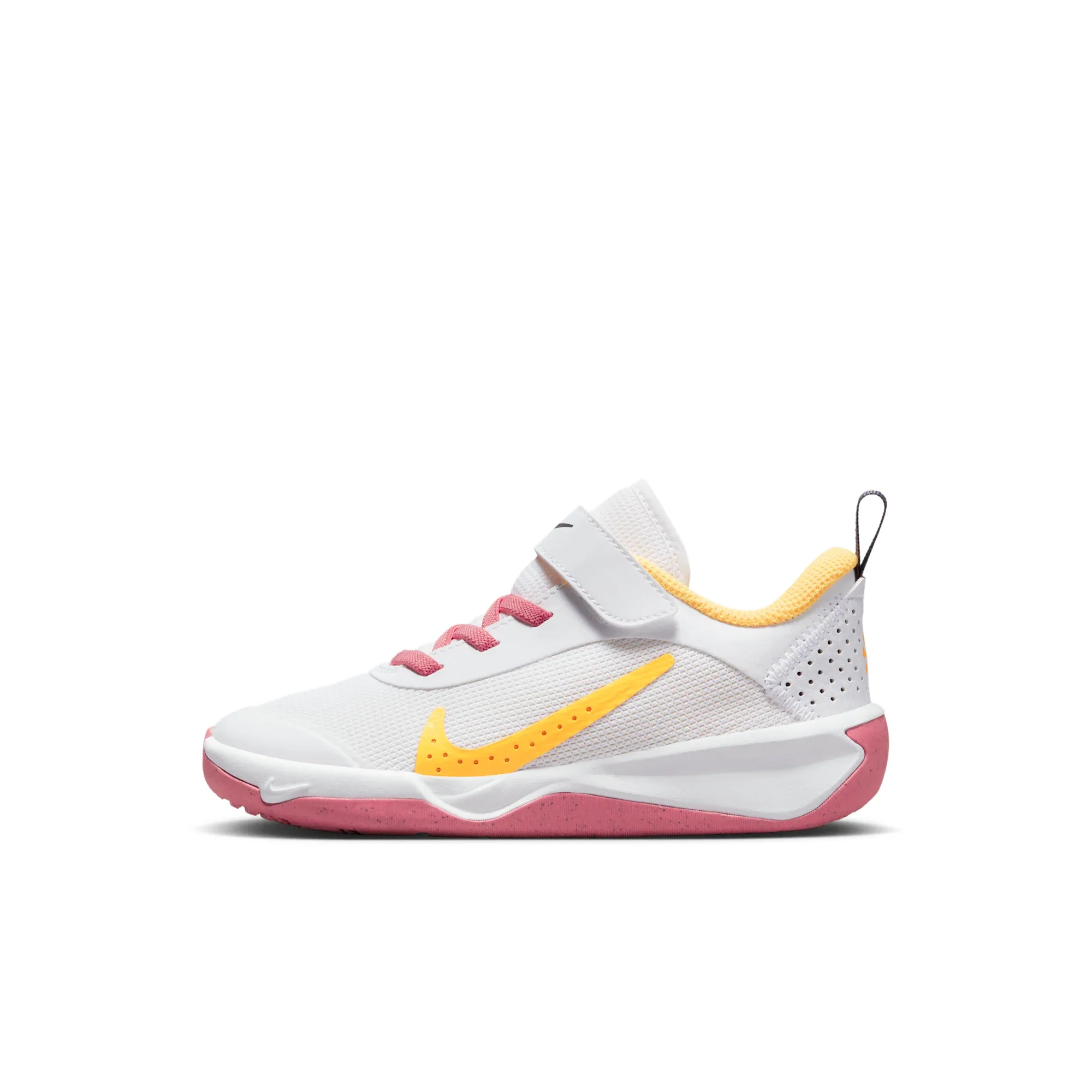 Nike Omni Multi-Court