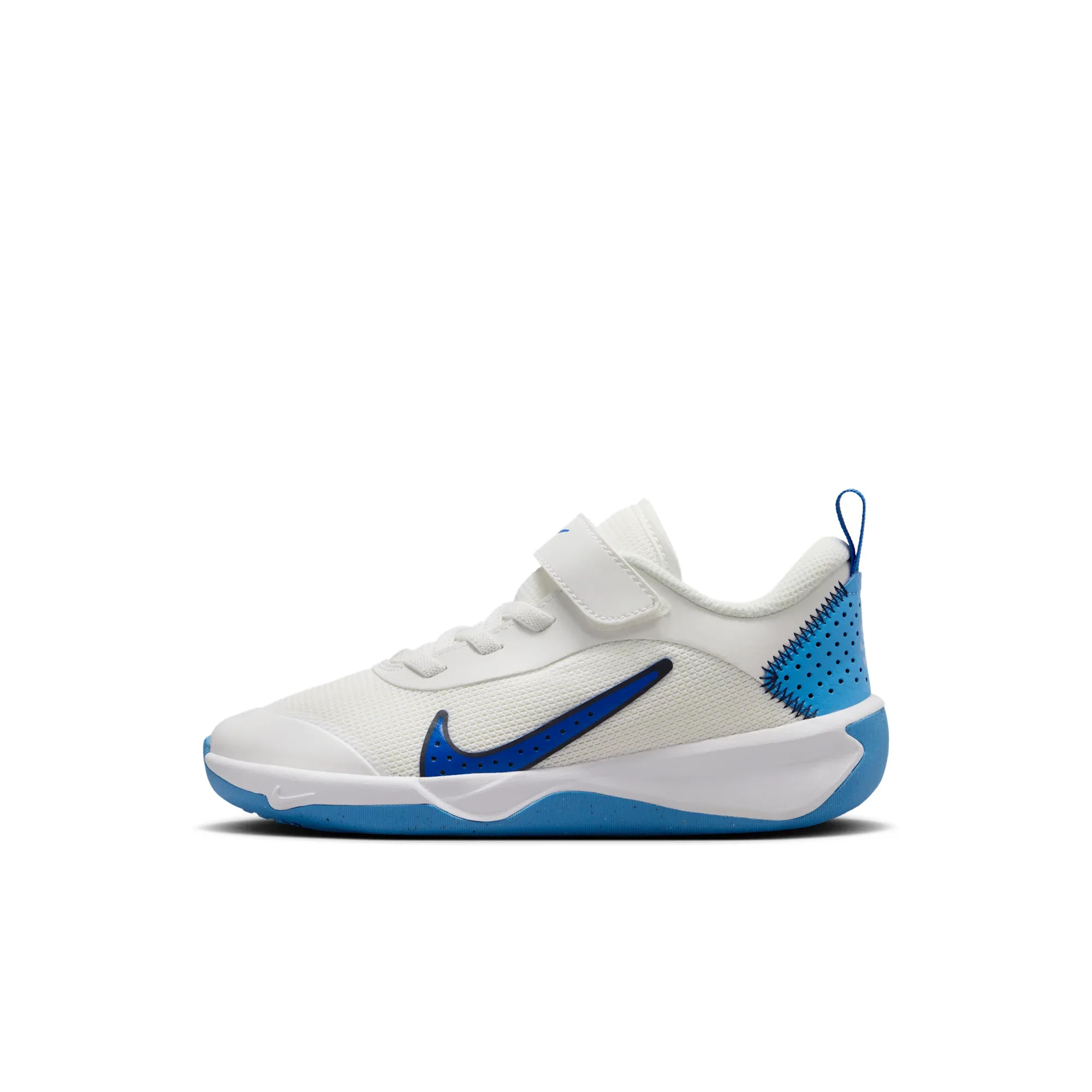 Nike Omni Multi-Court
