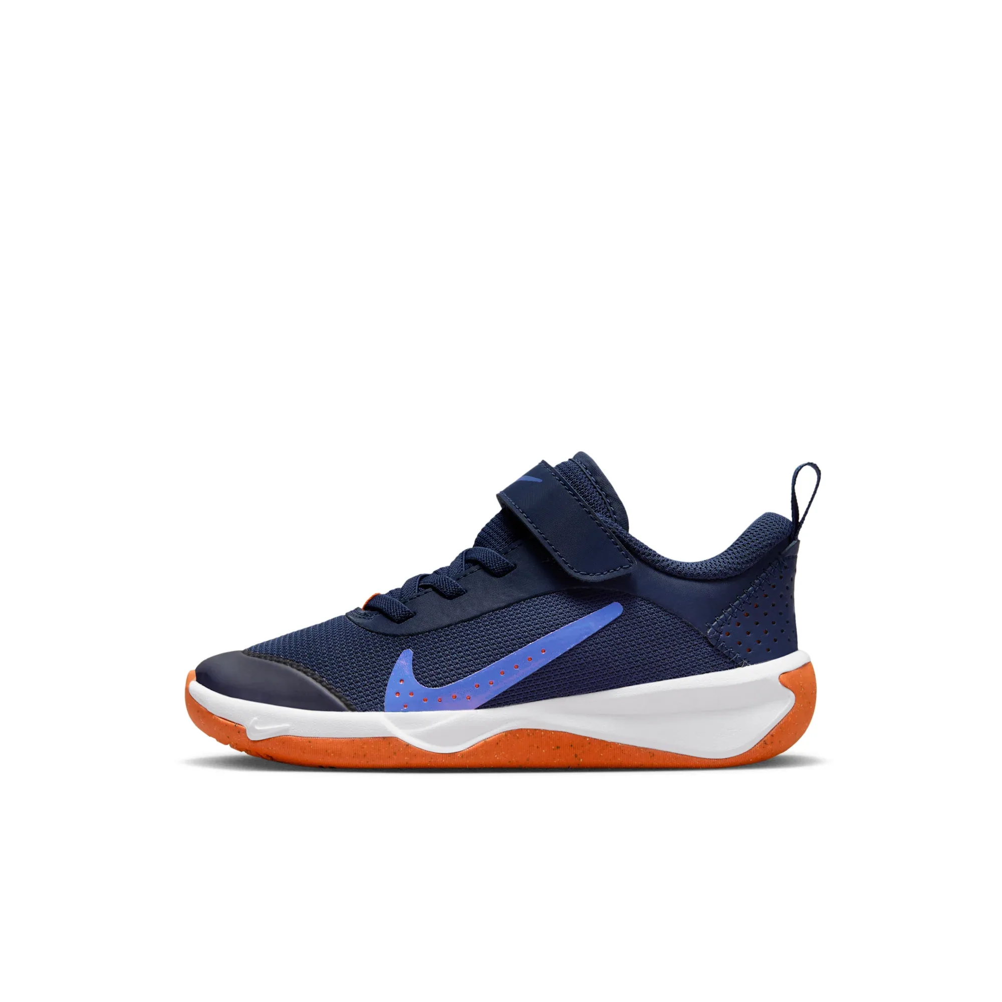 Nike Omni Multi-Court