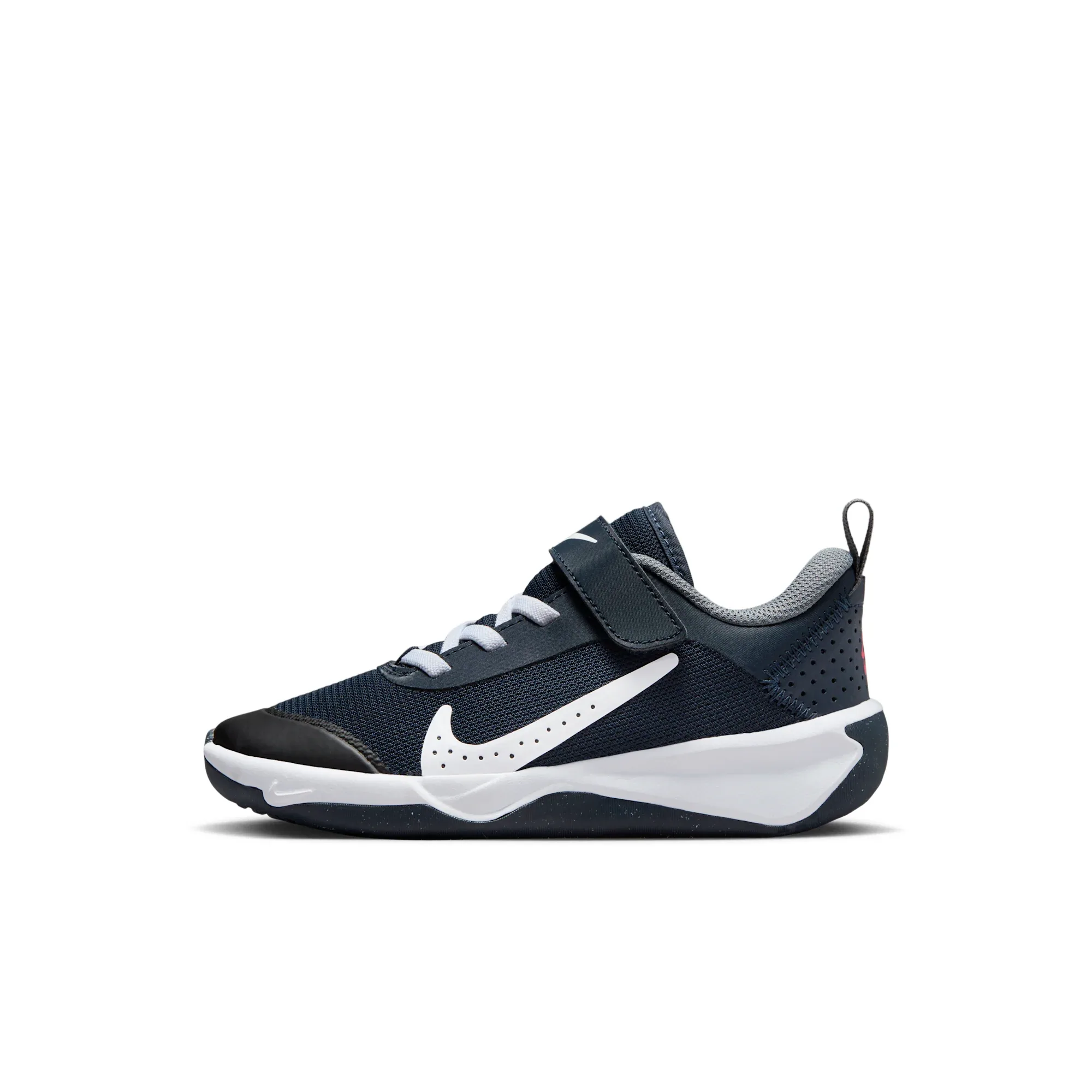 Nike Omni Multi-Court