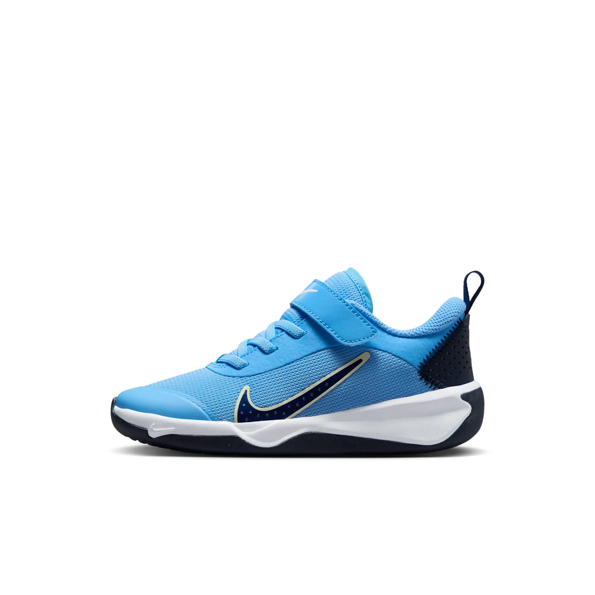 Nike Omni Multi-Court