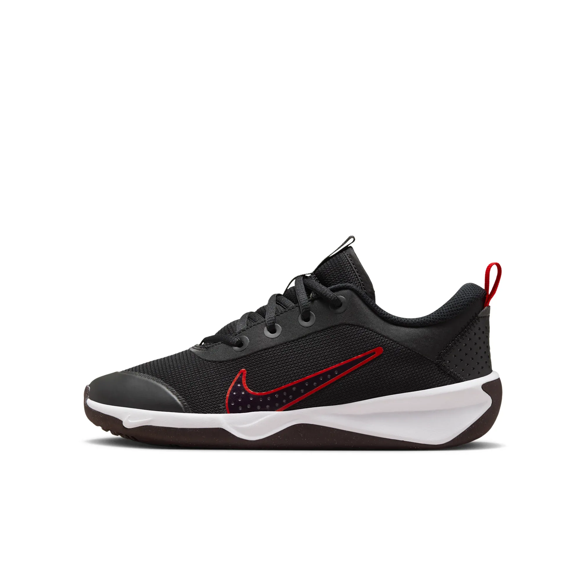 Nike Omni Multi-Court