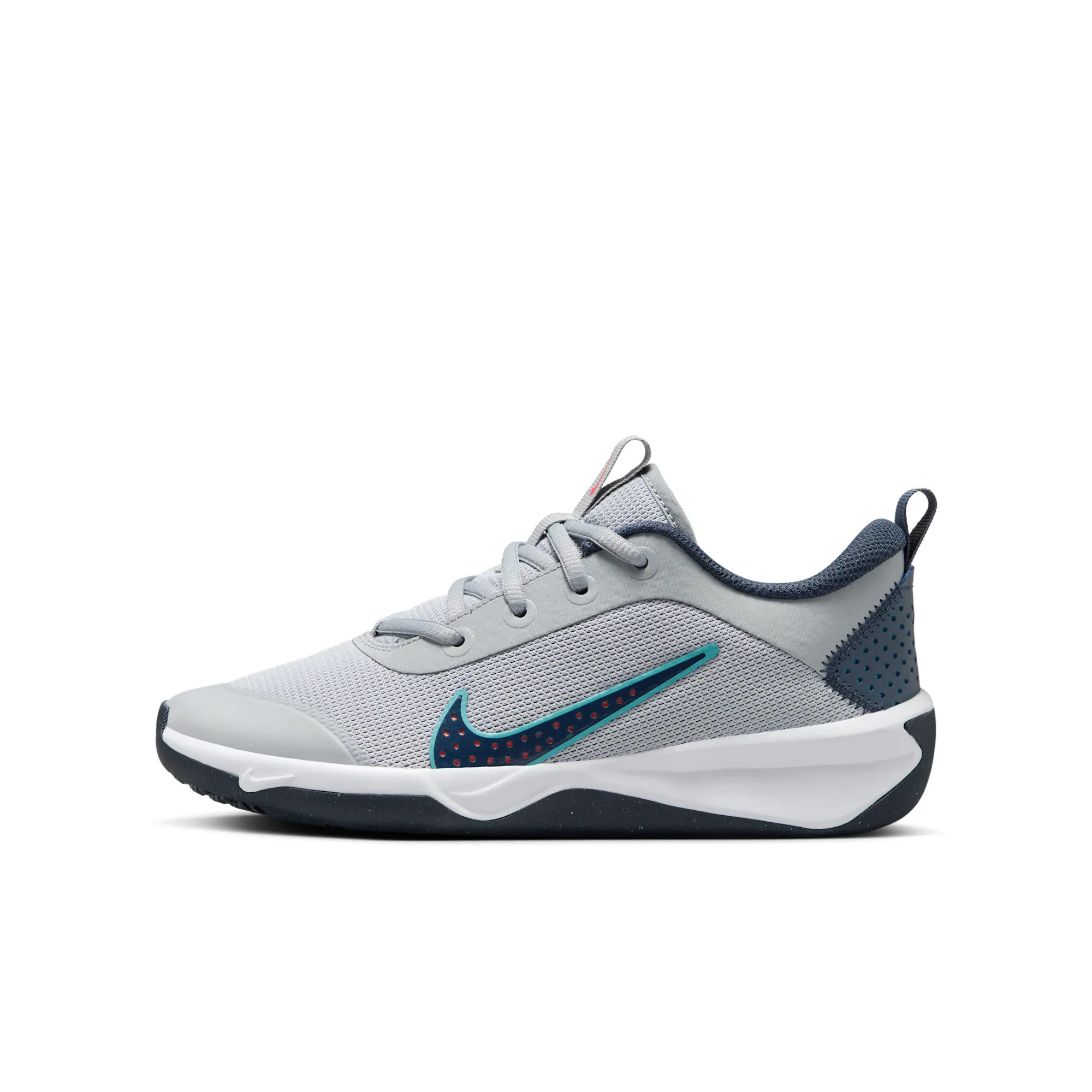 Nike Omni Multi-Court