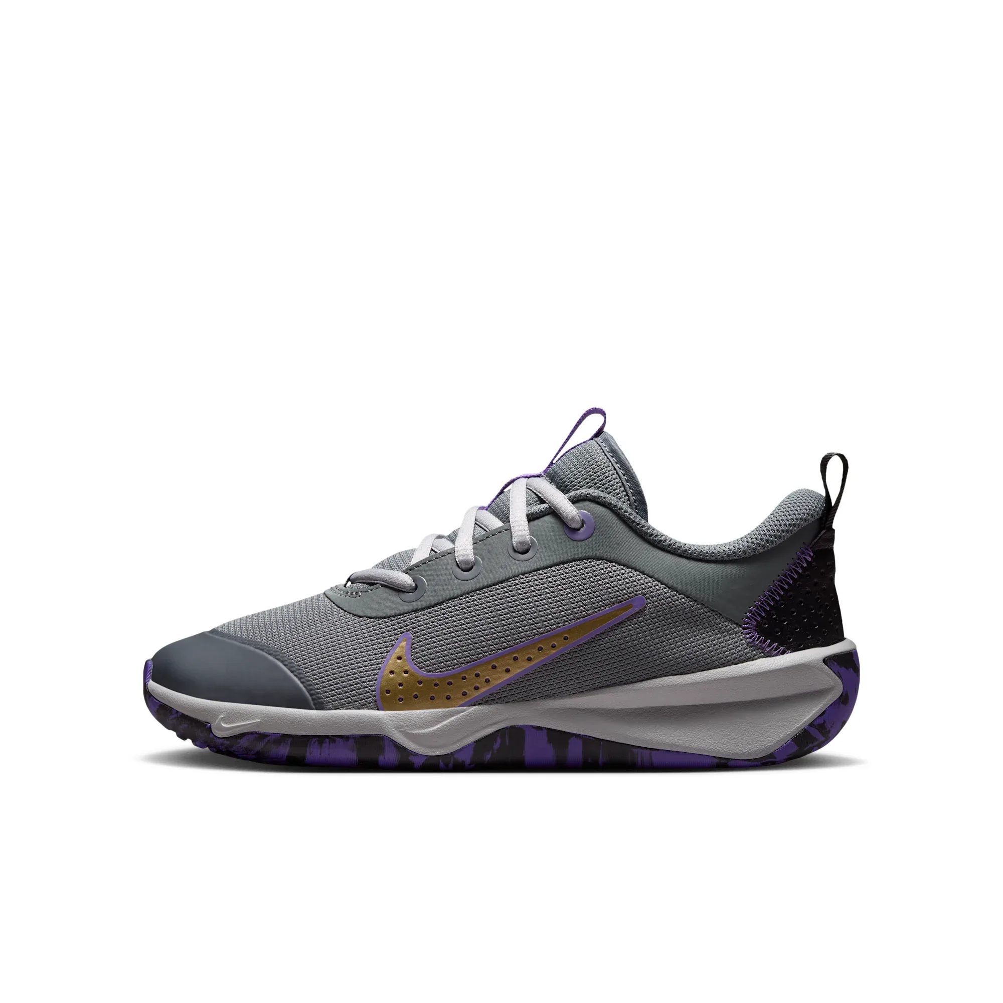 Nike Omni Multi-Court