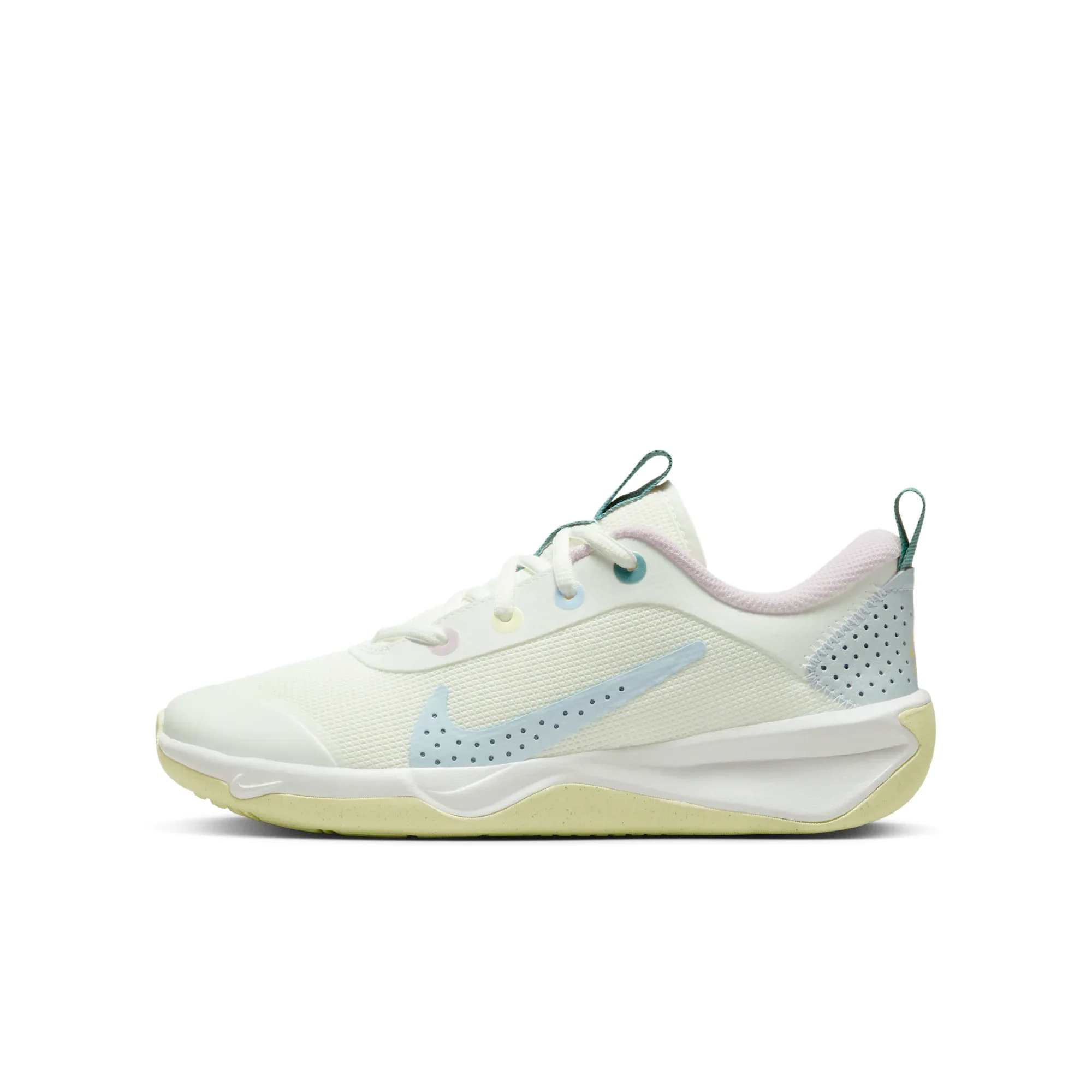 Nike Omni Multi-Court