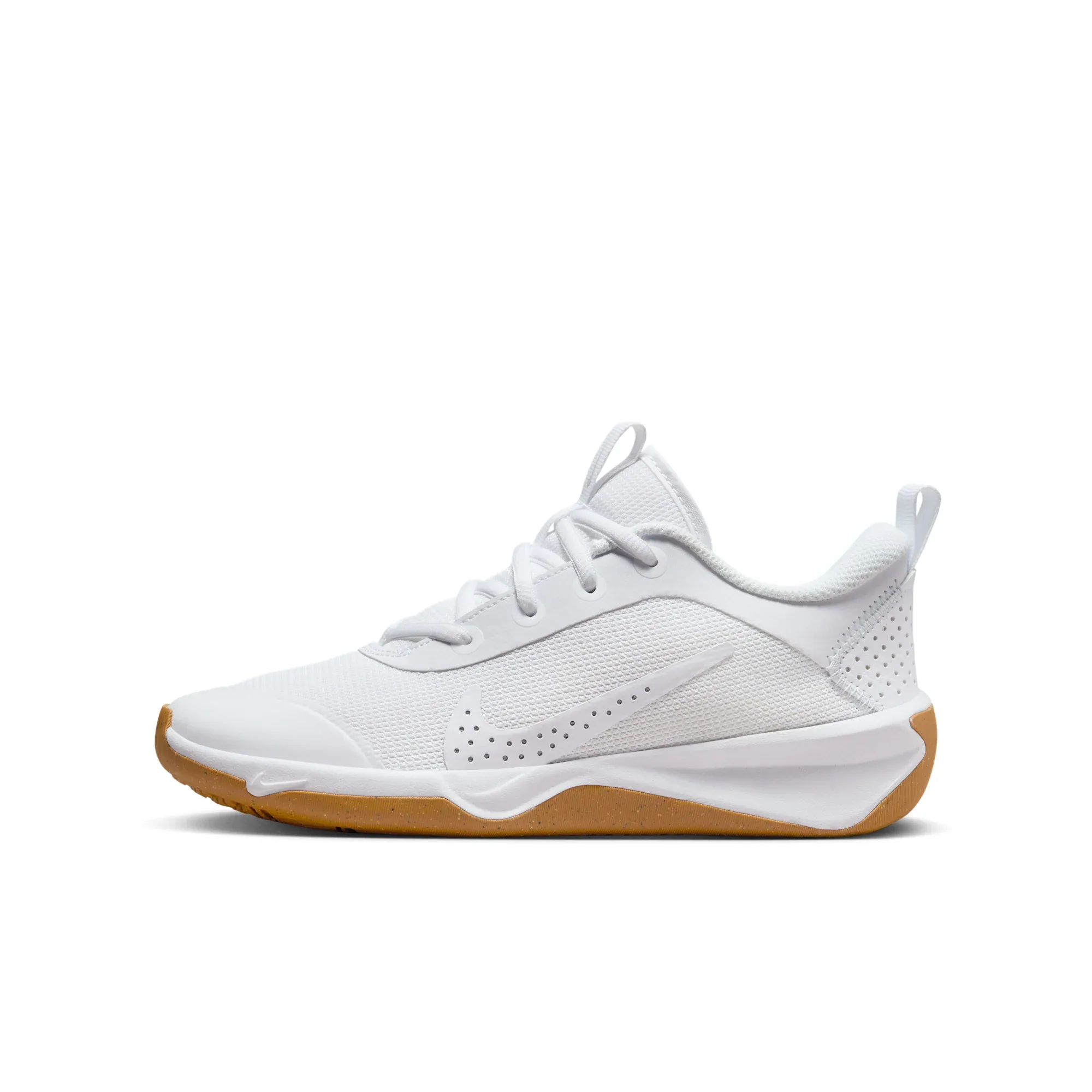 Nike Omni Multi-Court