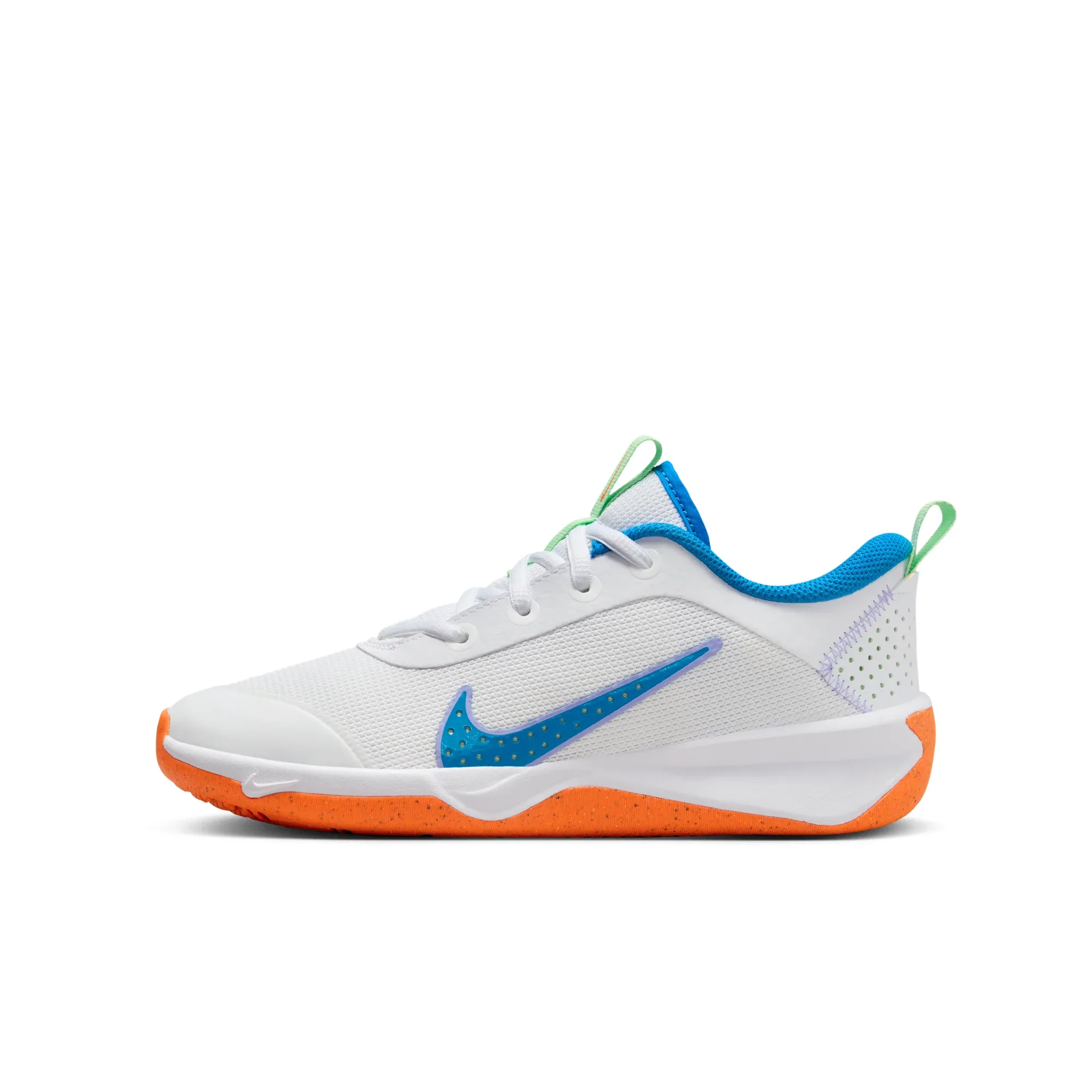 Nike Omni Multi-Court
