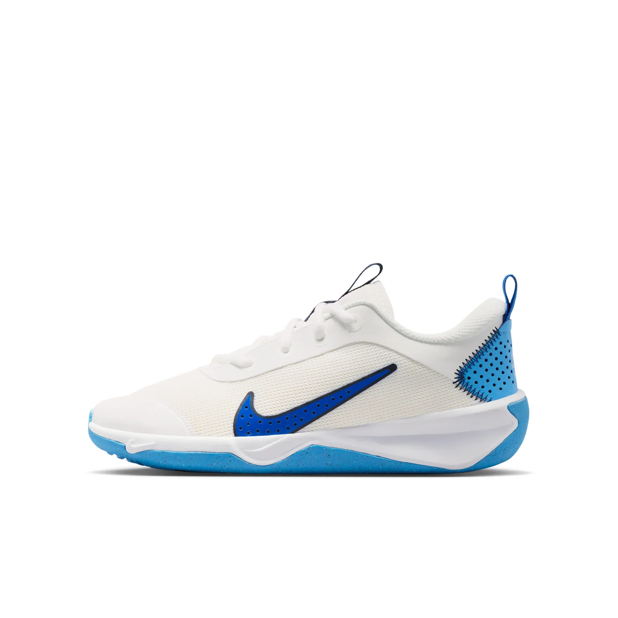 Nike Omni Multi-Court