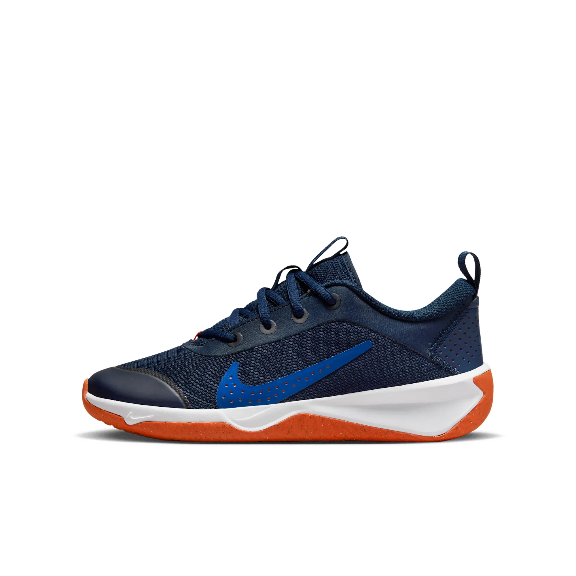 Nike Omni Multi-Court
