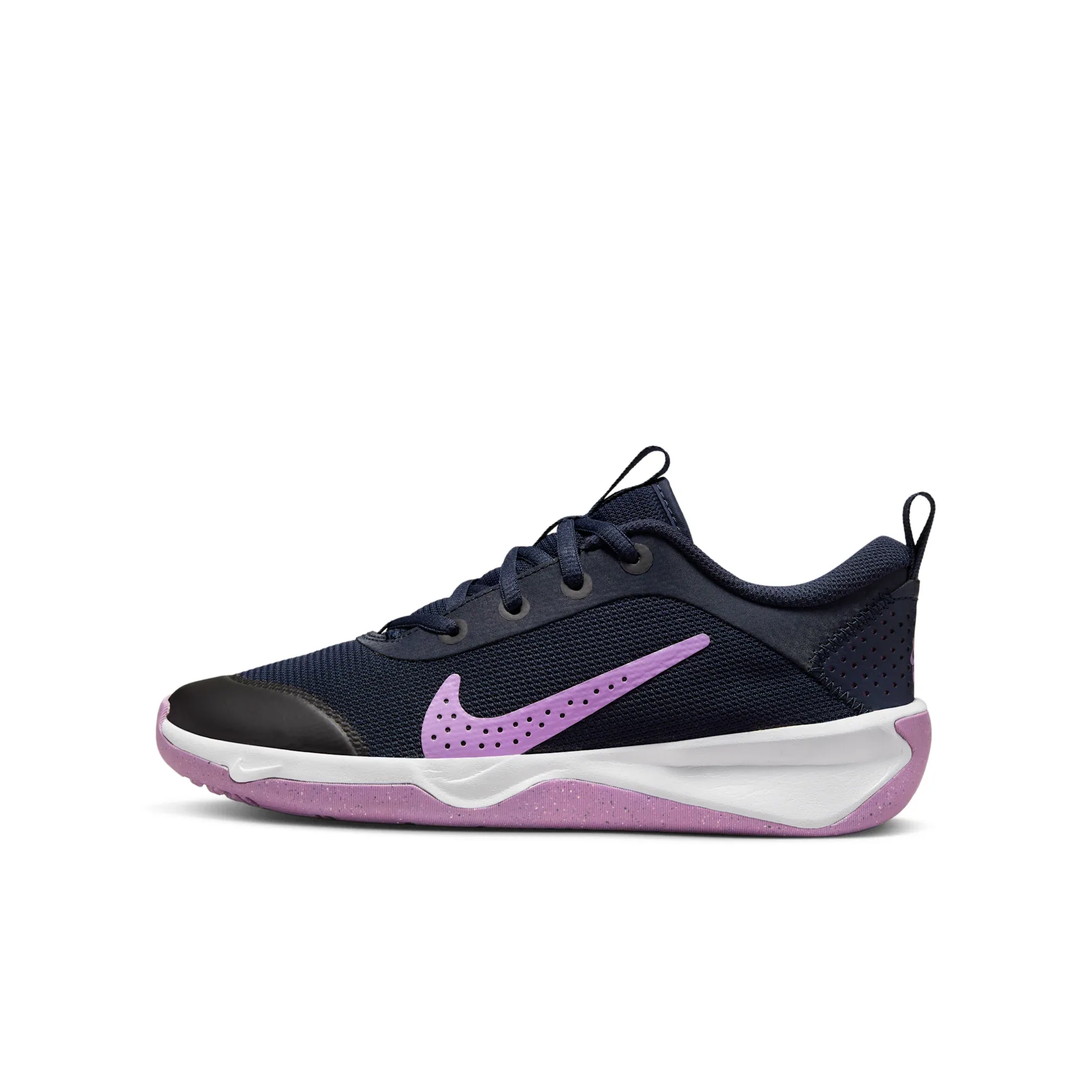 Nike Omni Multi-Court