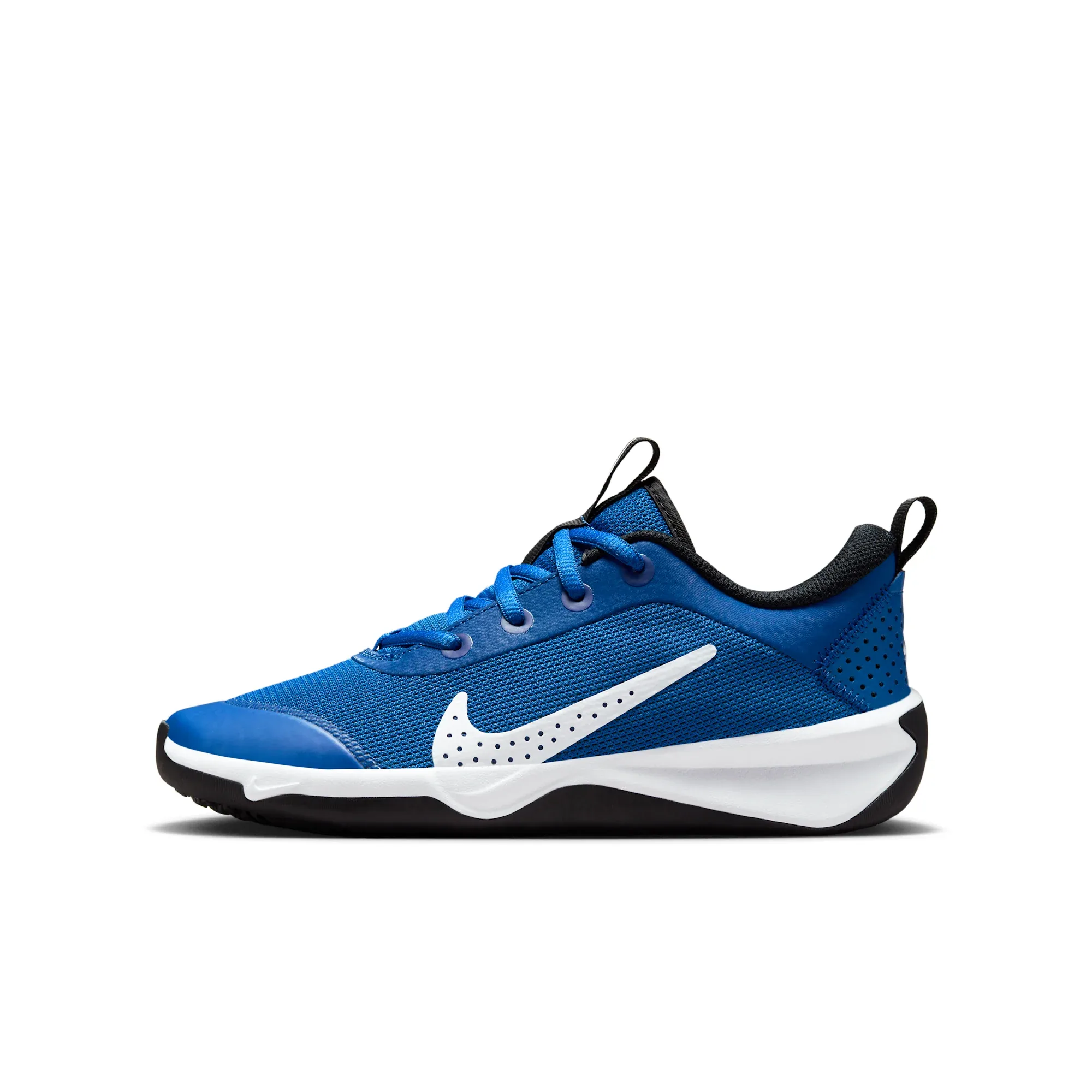 Nike Omni Multi-Court