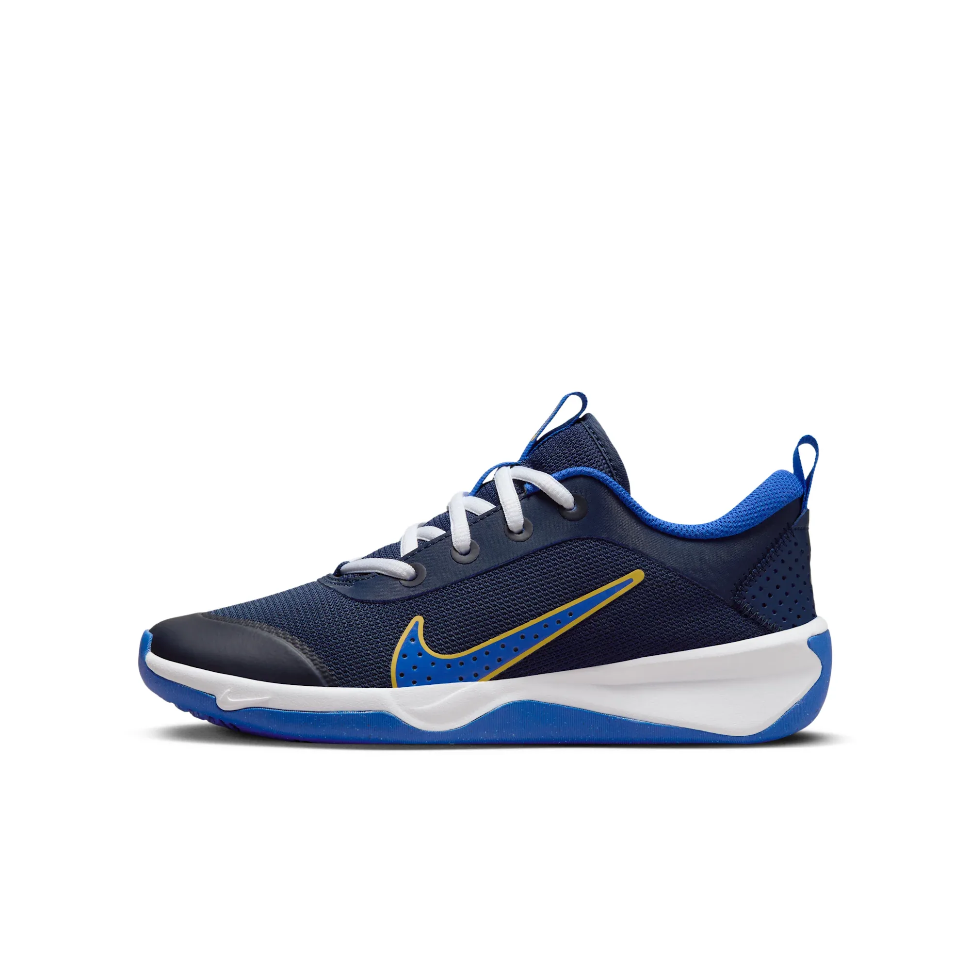 Nike Omni Multi-Court