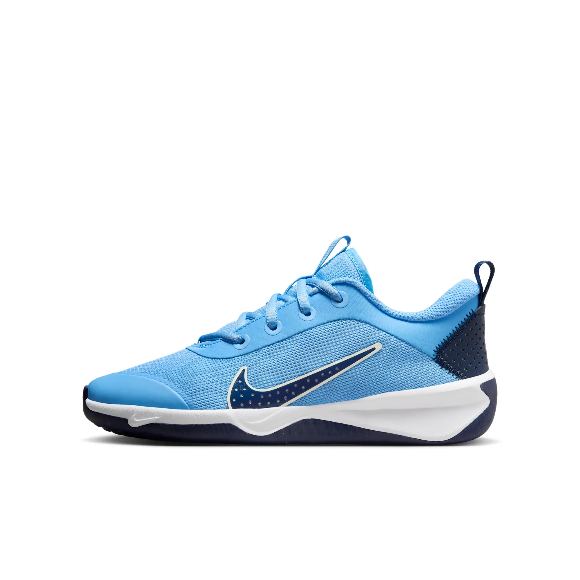 Nike Omni Multi-Court