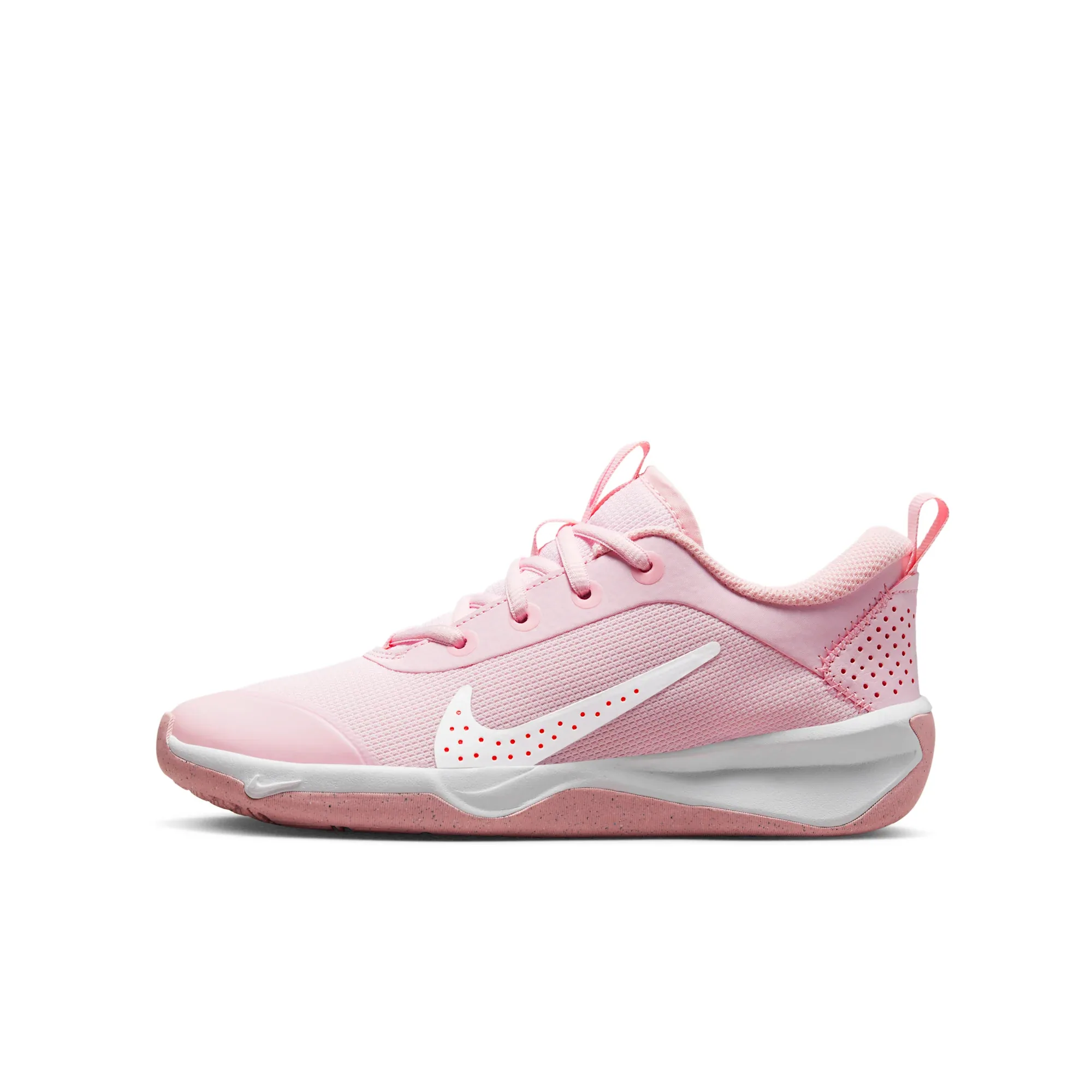 Nike Omni Multi-Court