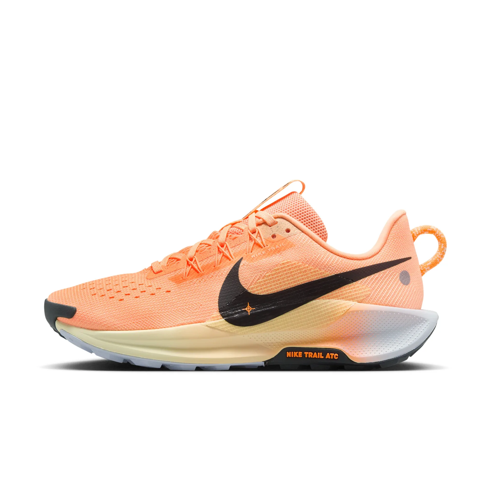 Nike Pegasus Trail 5