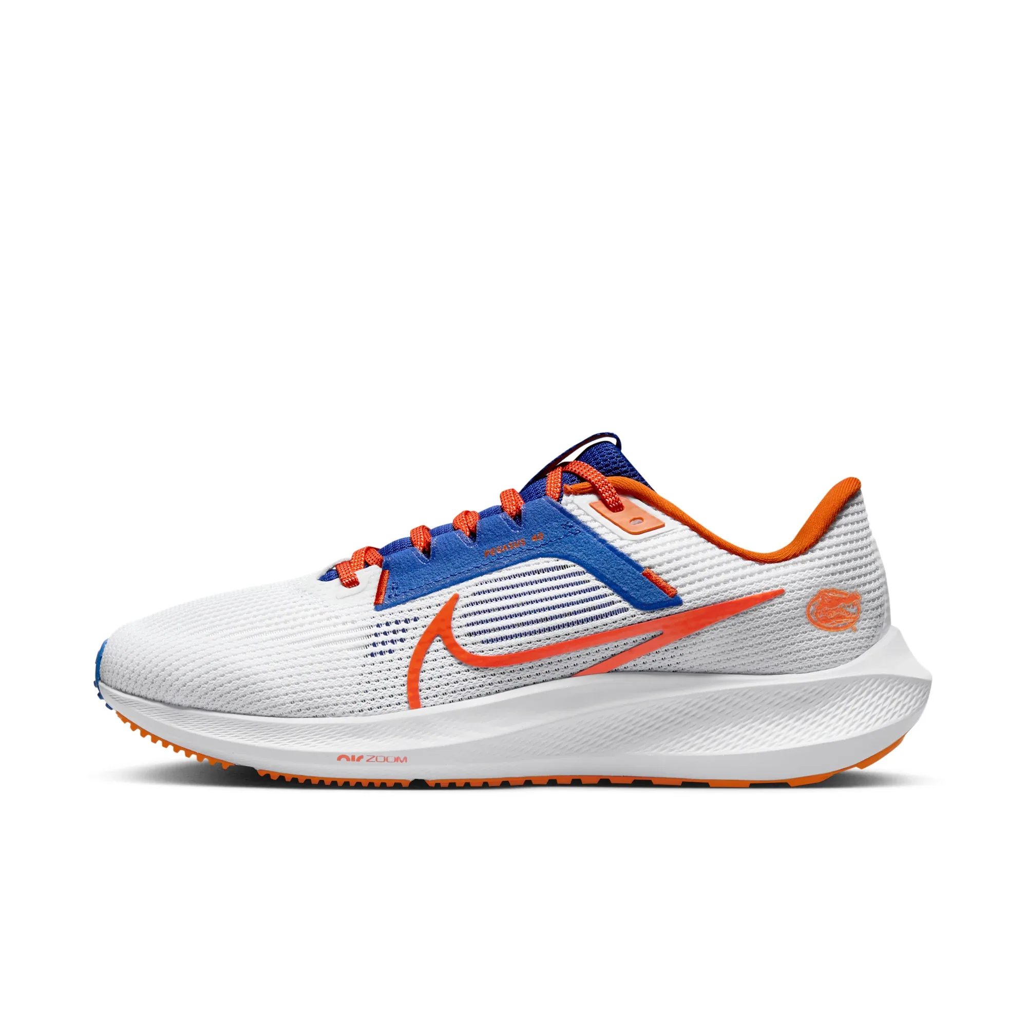 Nike Pegasus 40 (Florida)
