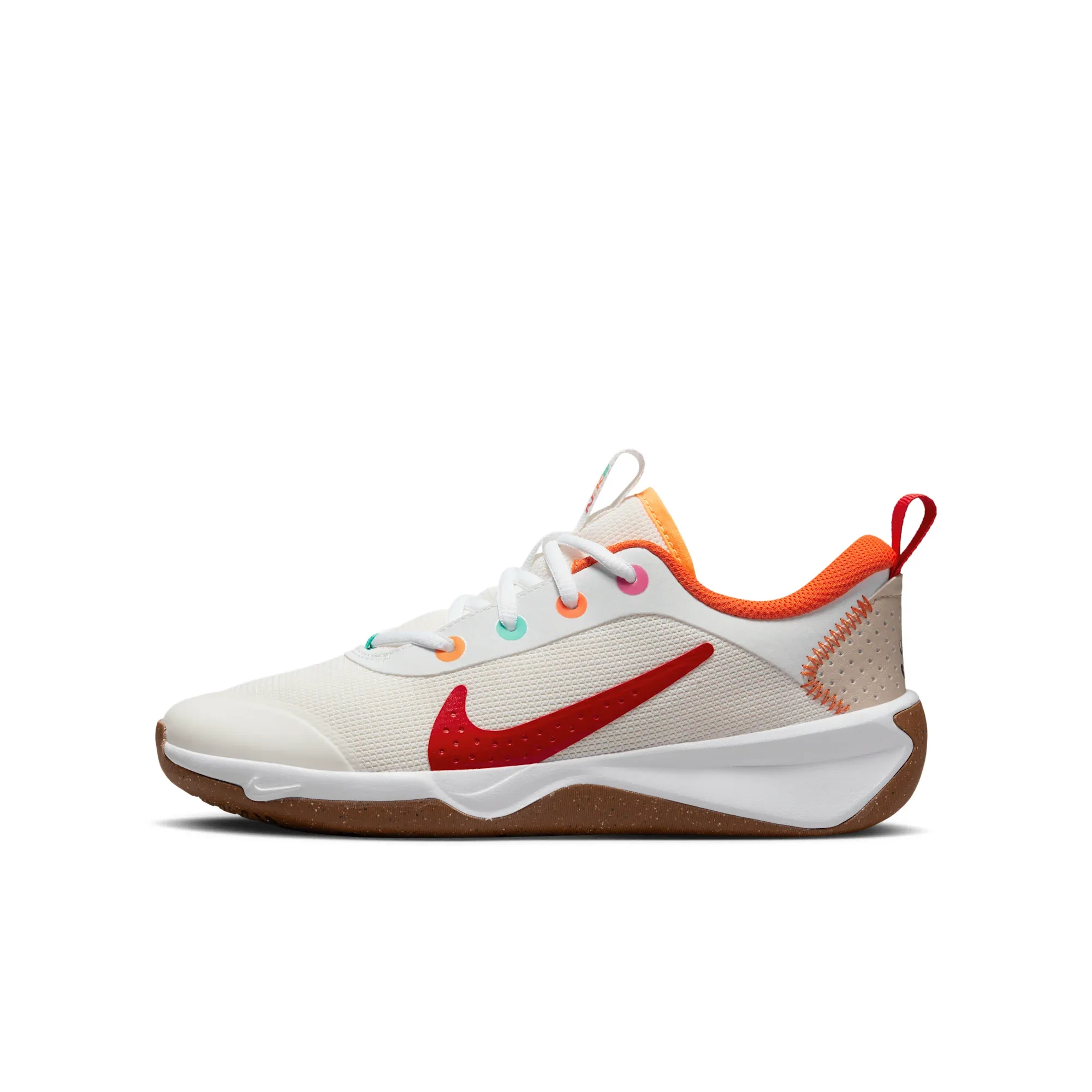 Nike Omni Multi-Court