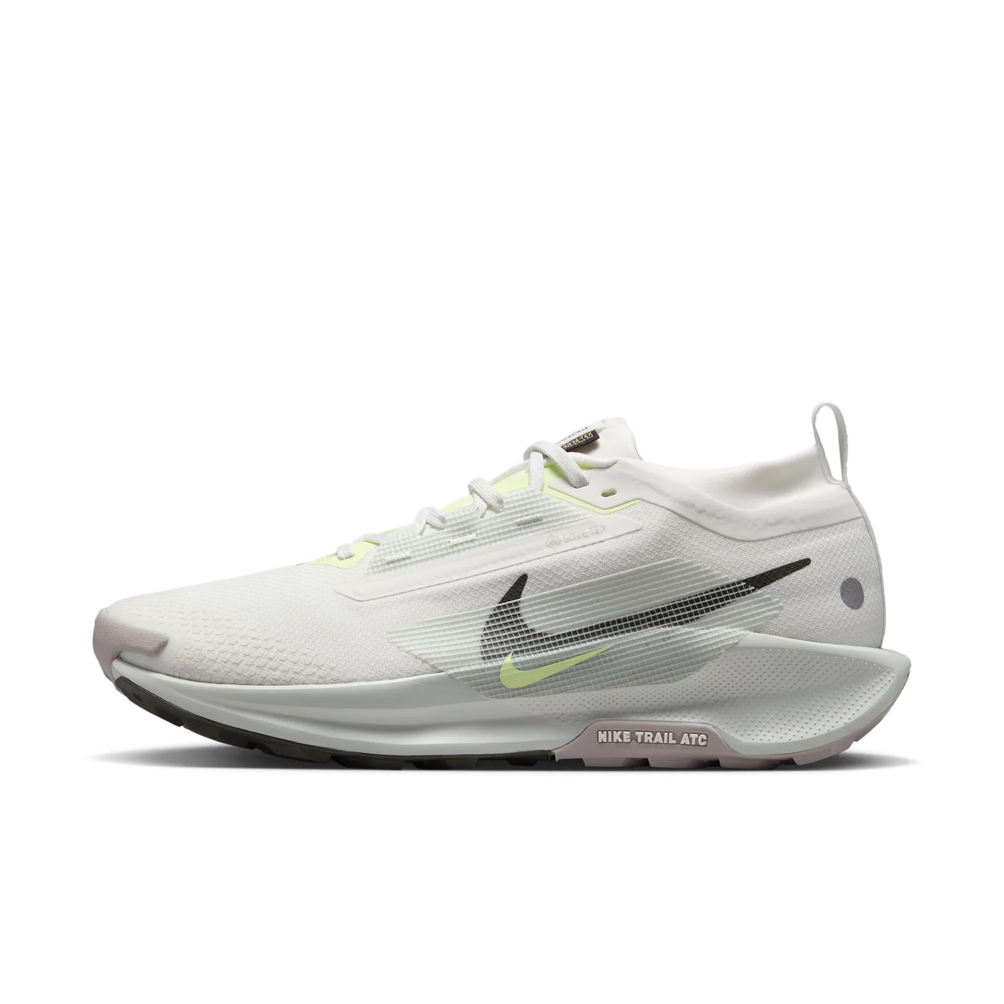 Nike Pegasus Trail 5 GORE-TEX
