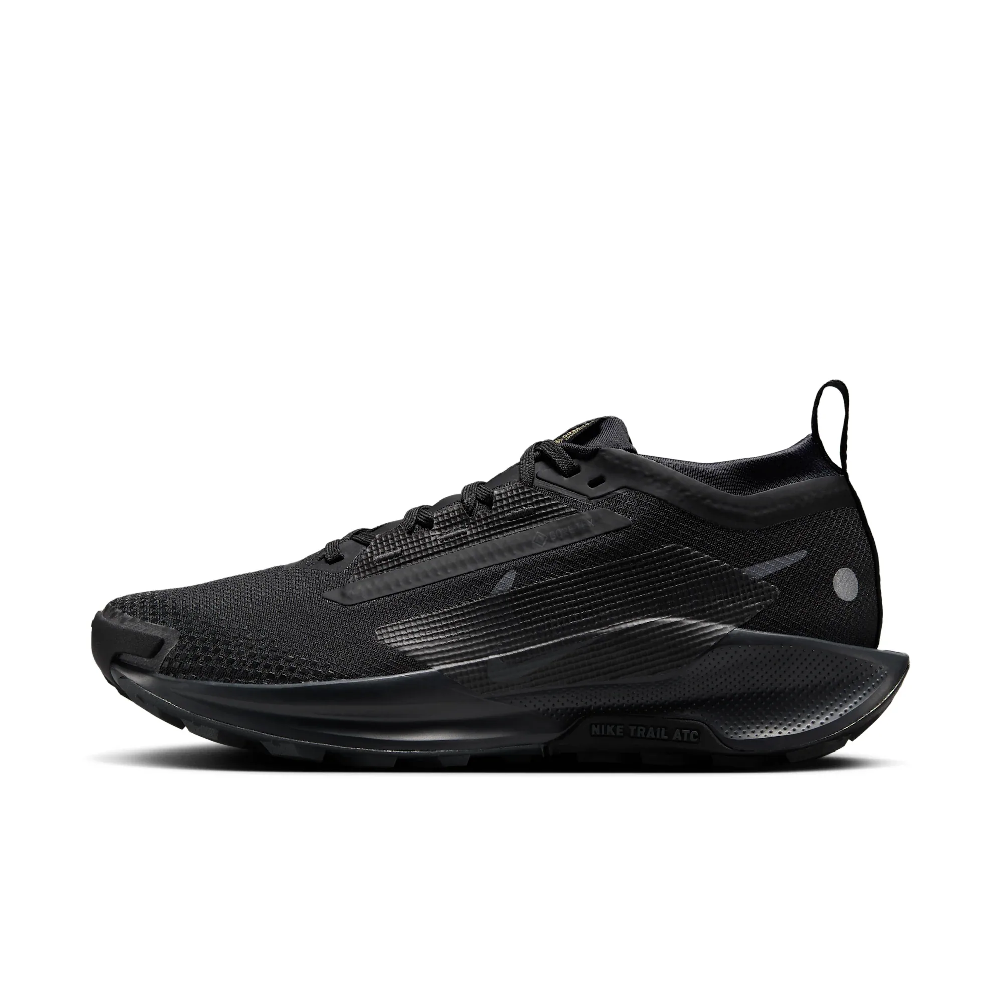 Nike Pegasus Trail 5 GORE-TEX