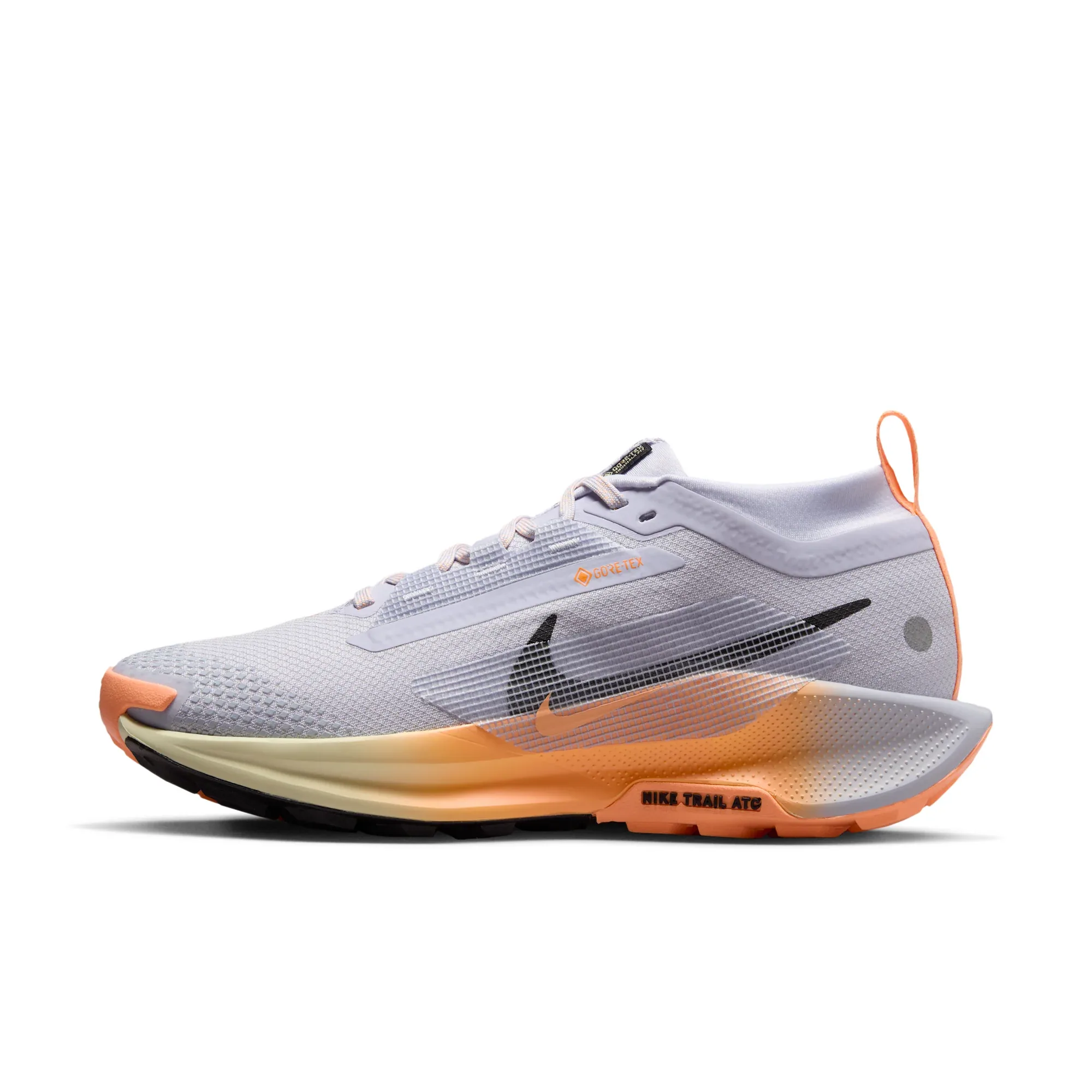 Nike Pegasus Trail 5 GORE-TEX