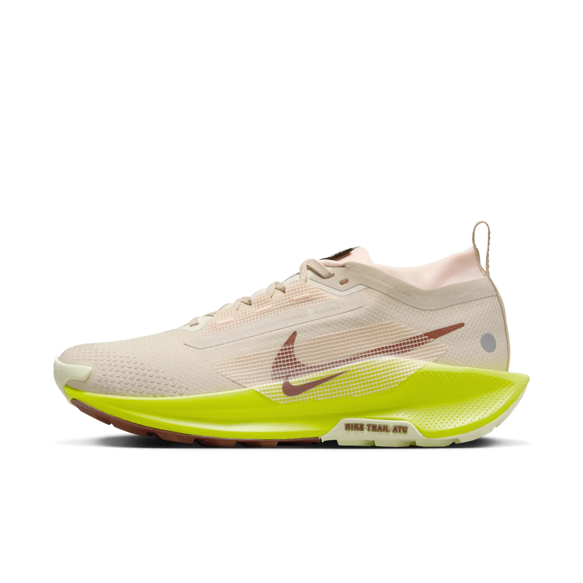 Nike Pegasus Trail 5 GORE-TEX