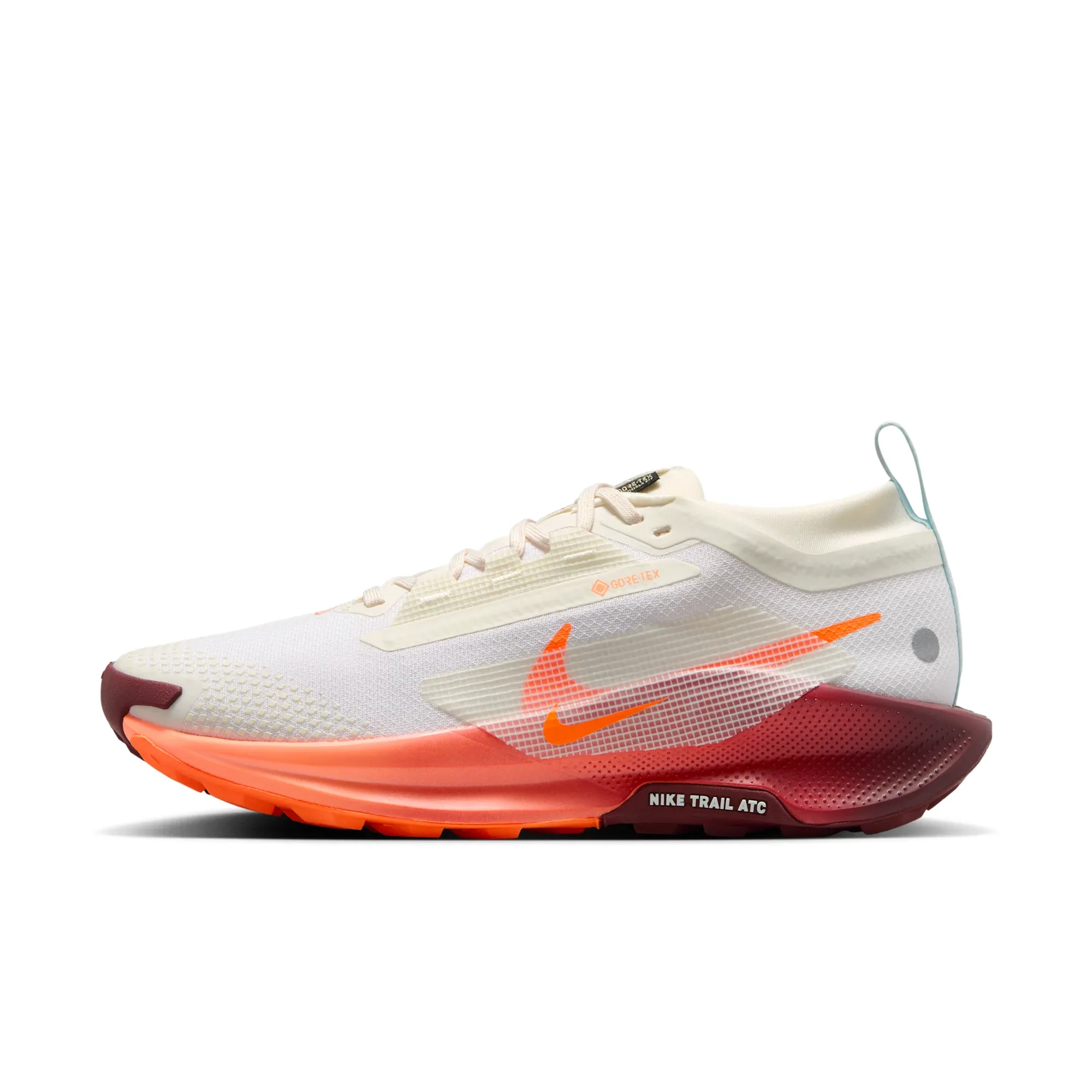 Nike Pegasus Trail 5 GORE-TEX