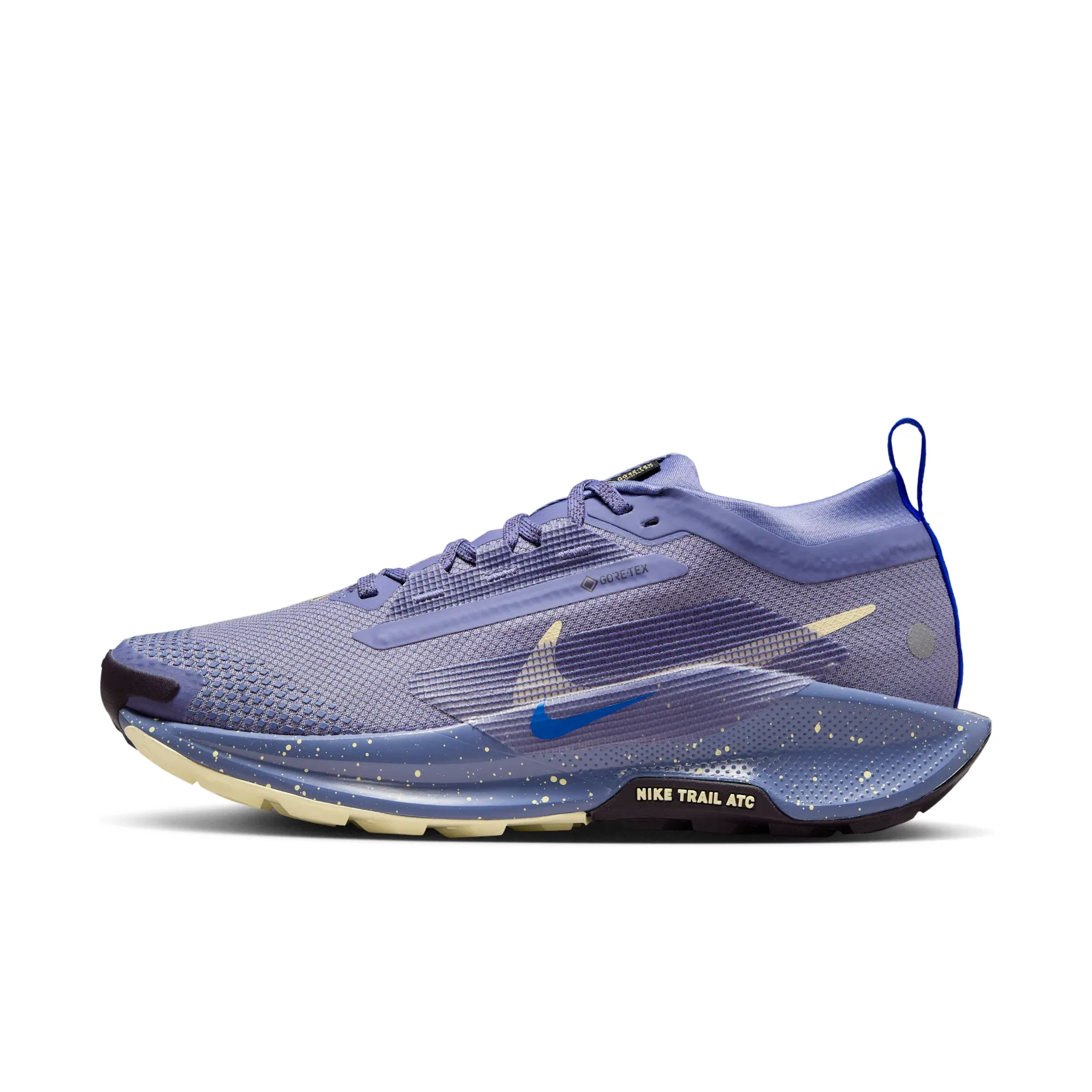 Nike Pegasus Trail 5 GORE-TEX