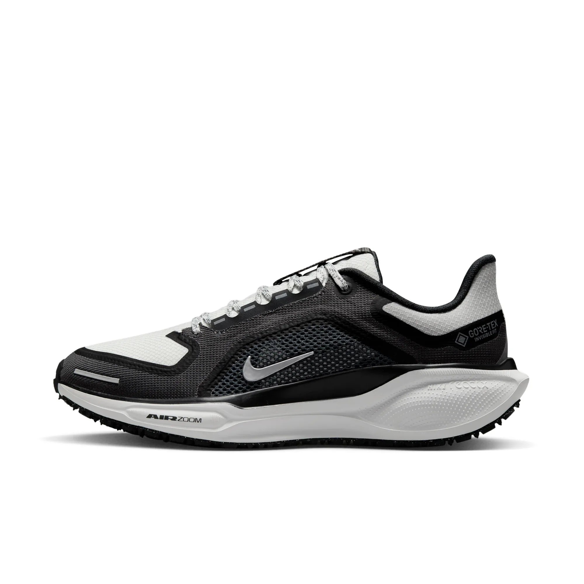 Nike Pegasus 41 GORE-TEX