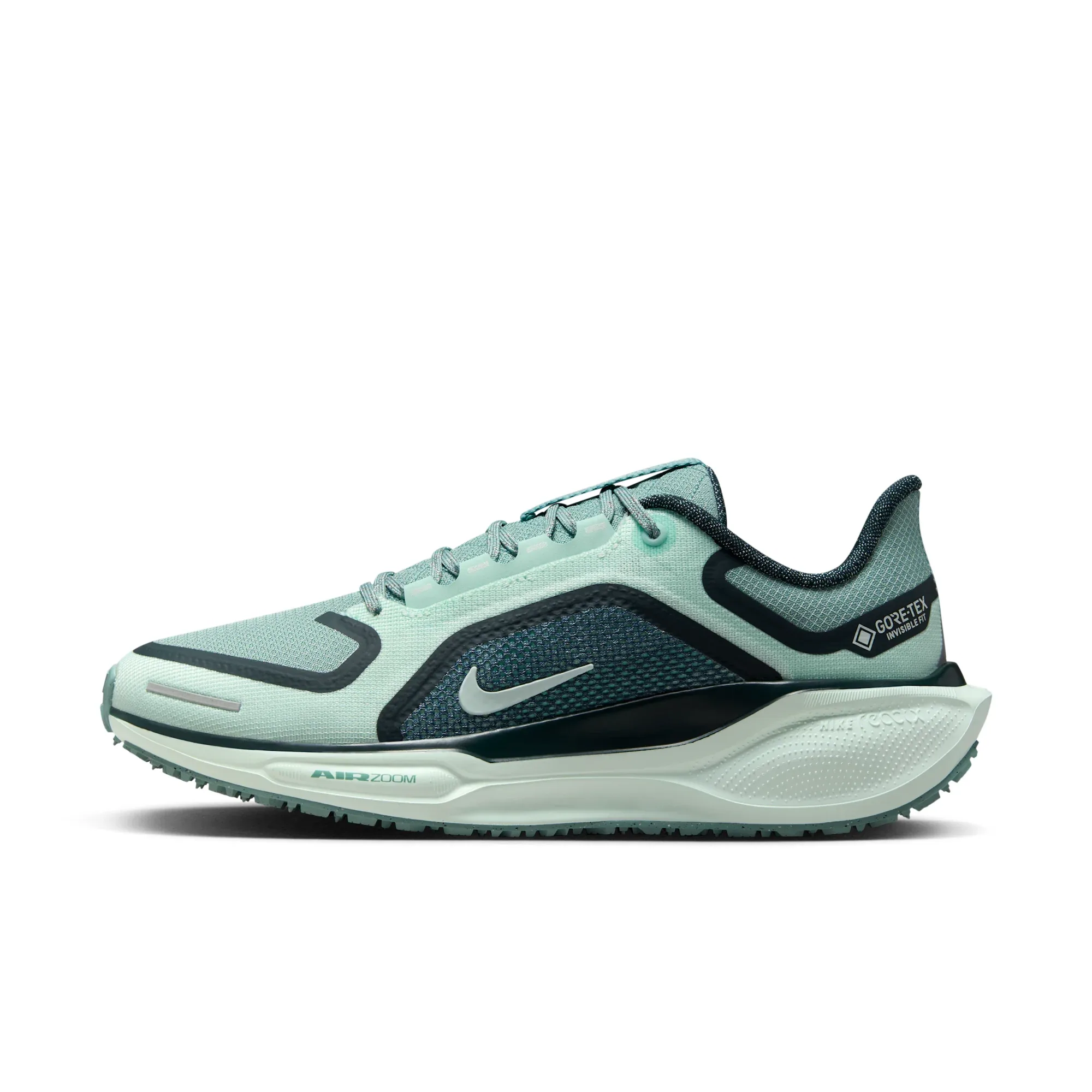 Nike Pegasus 41 GORE-TEX