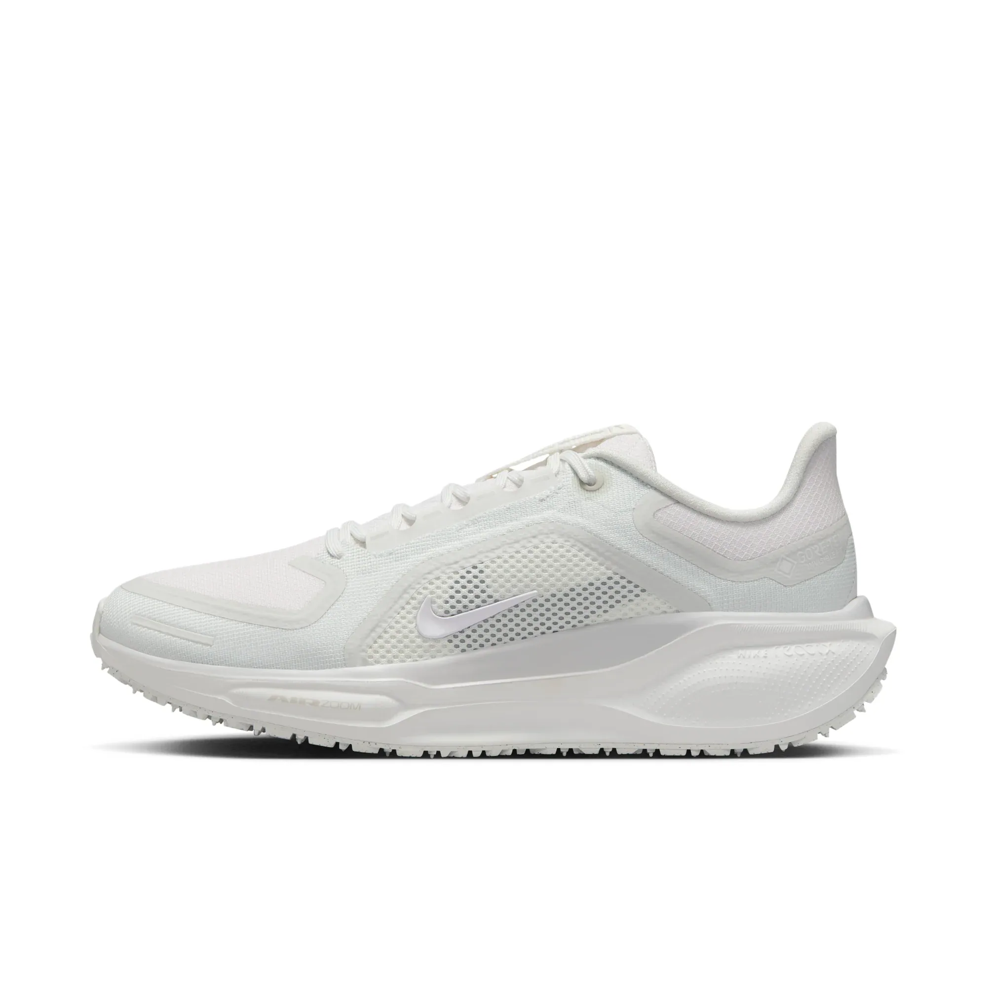 Nike Pegasus 41 GORE-TEX