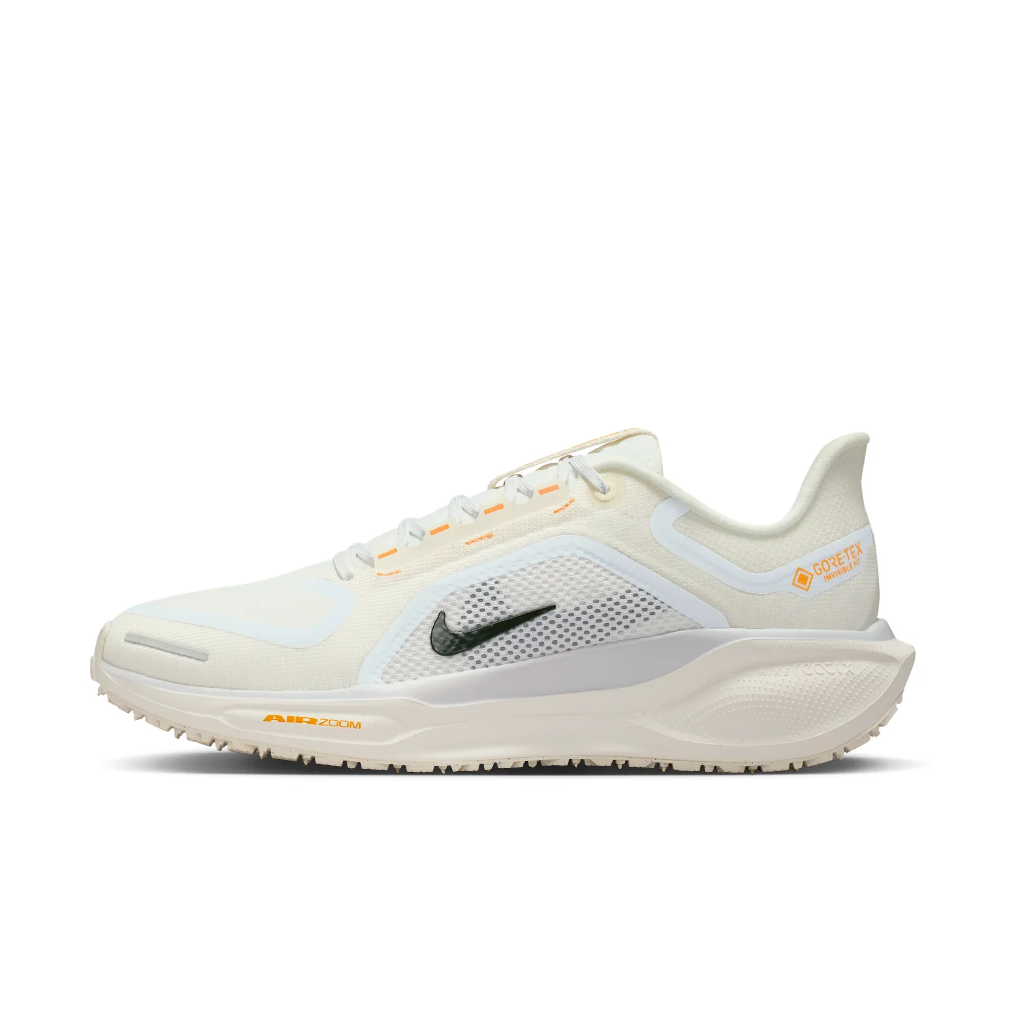 Nike Pegasus 41 GORE-TEX