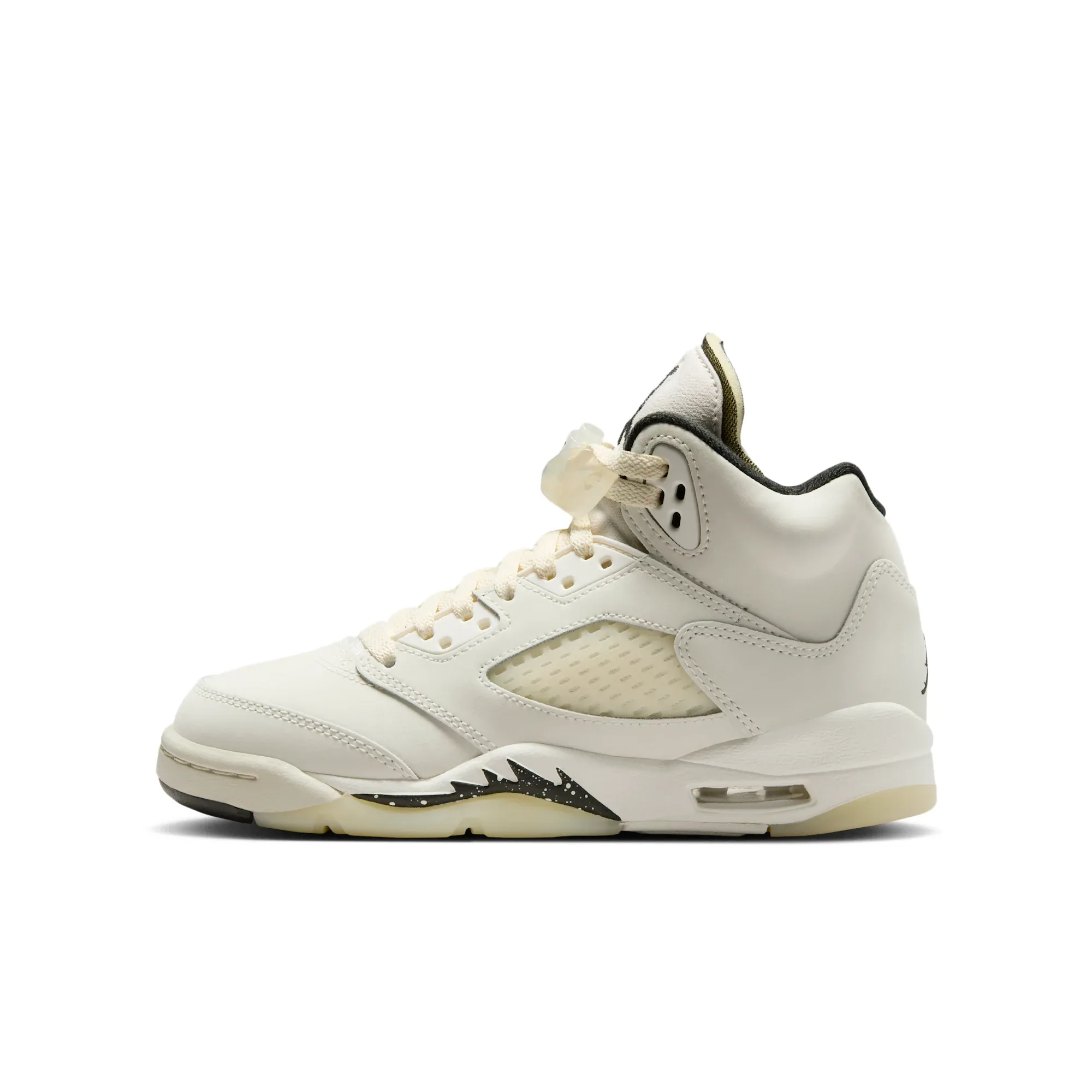 Air Jordan 5 Retro SE
