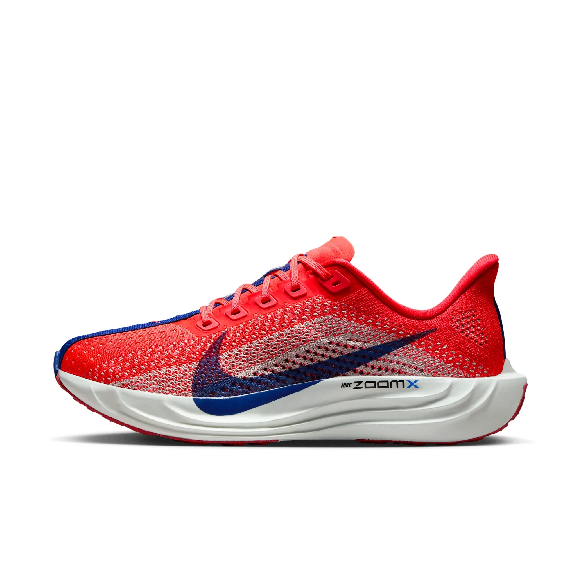 Nike Pegasus Plus