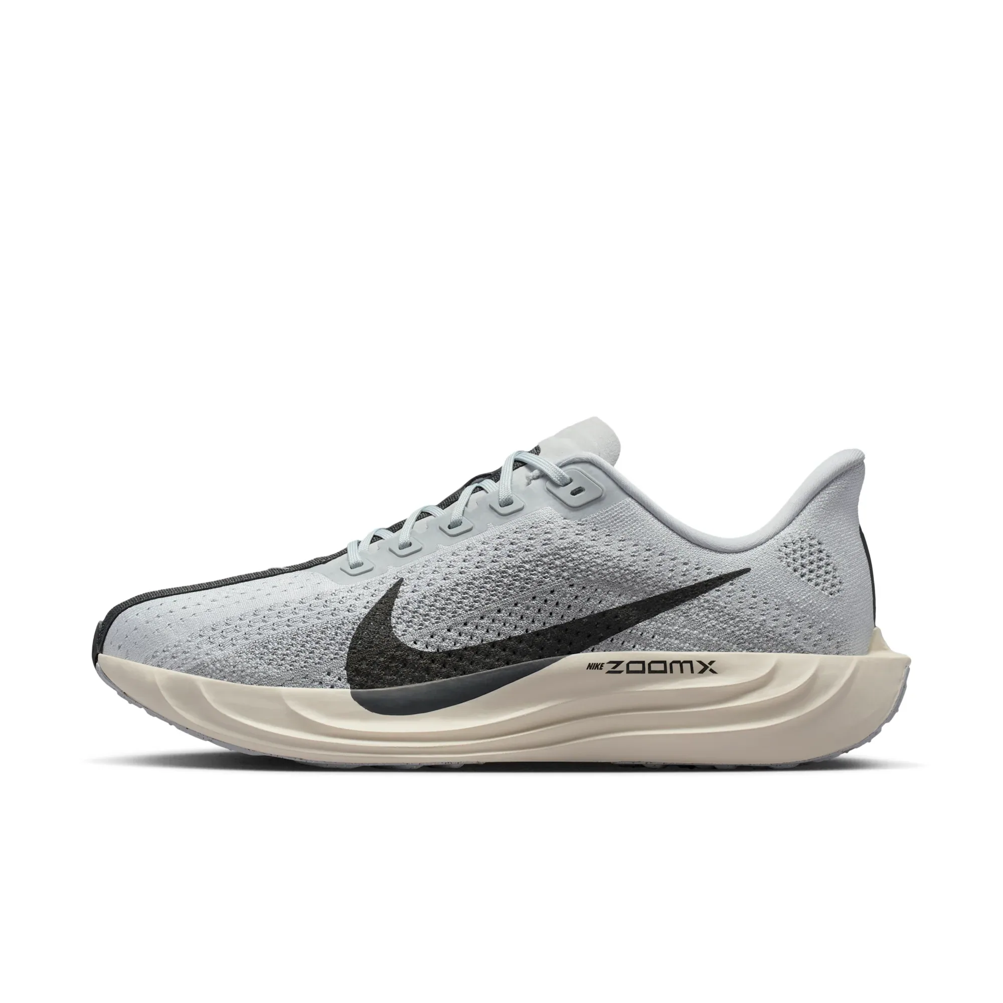 Nike Pegasus Plus