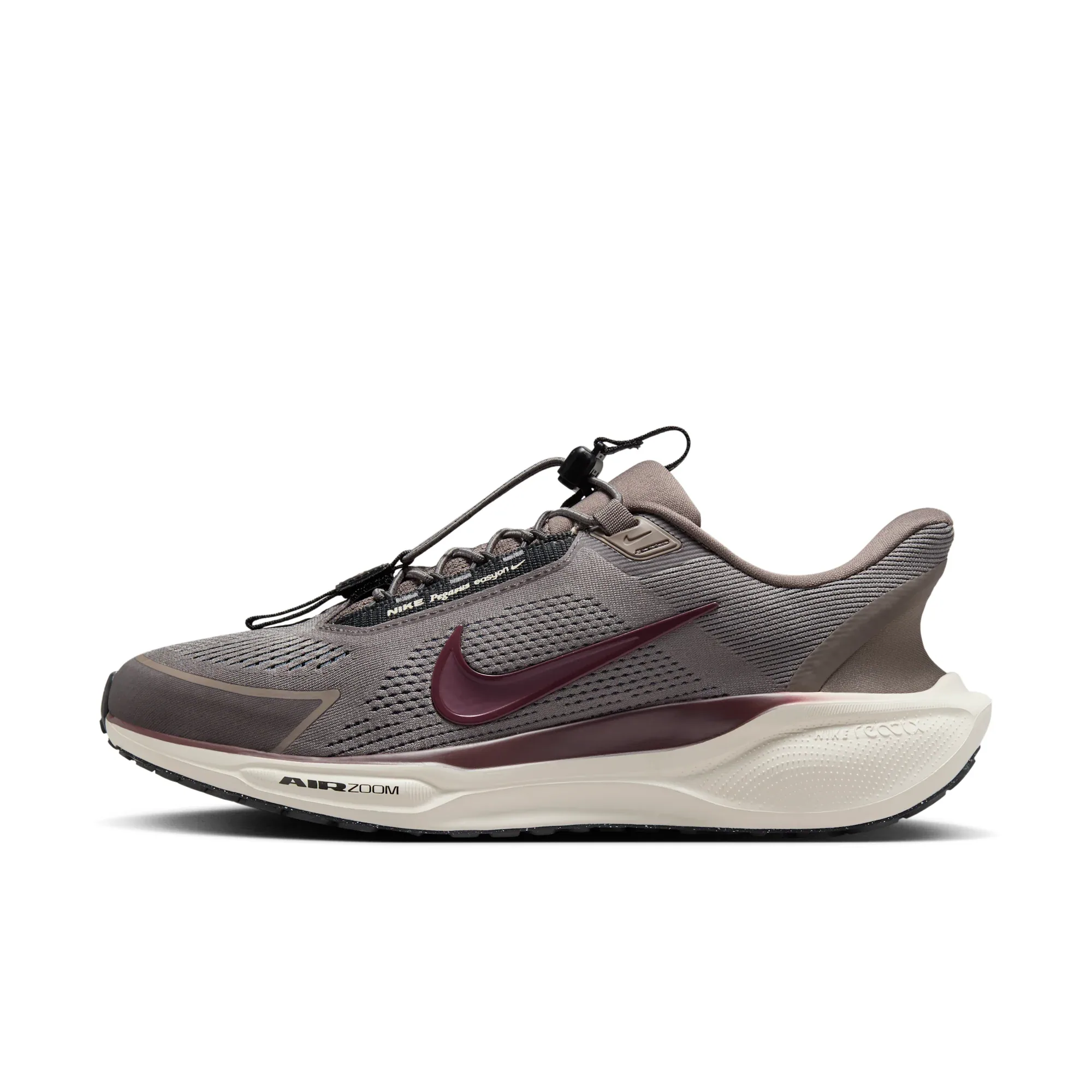 Nike Pegasus EasyOn