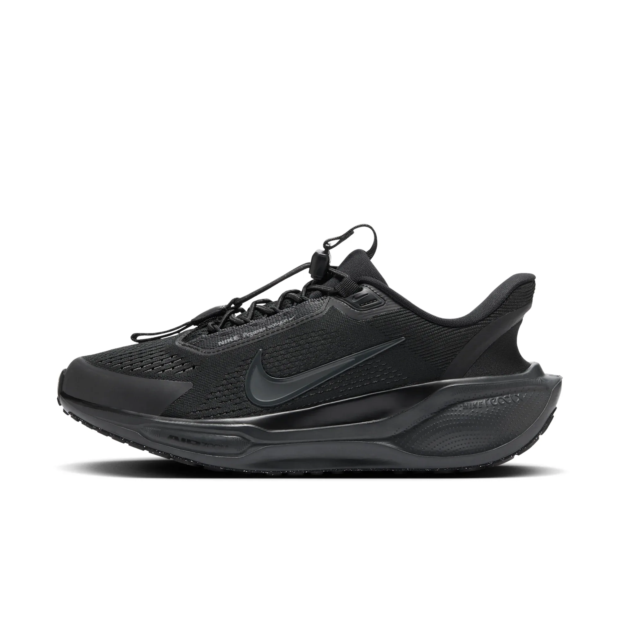 Nike Pegasus EasyOn