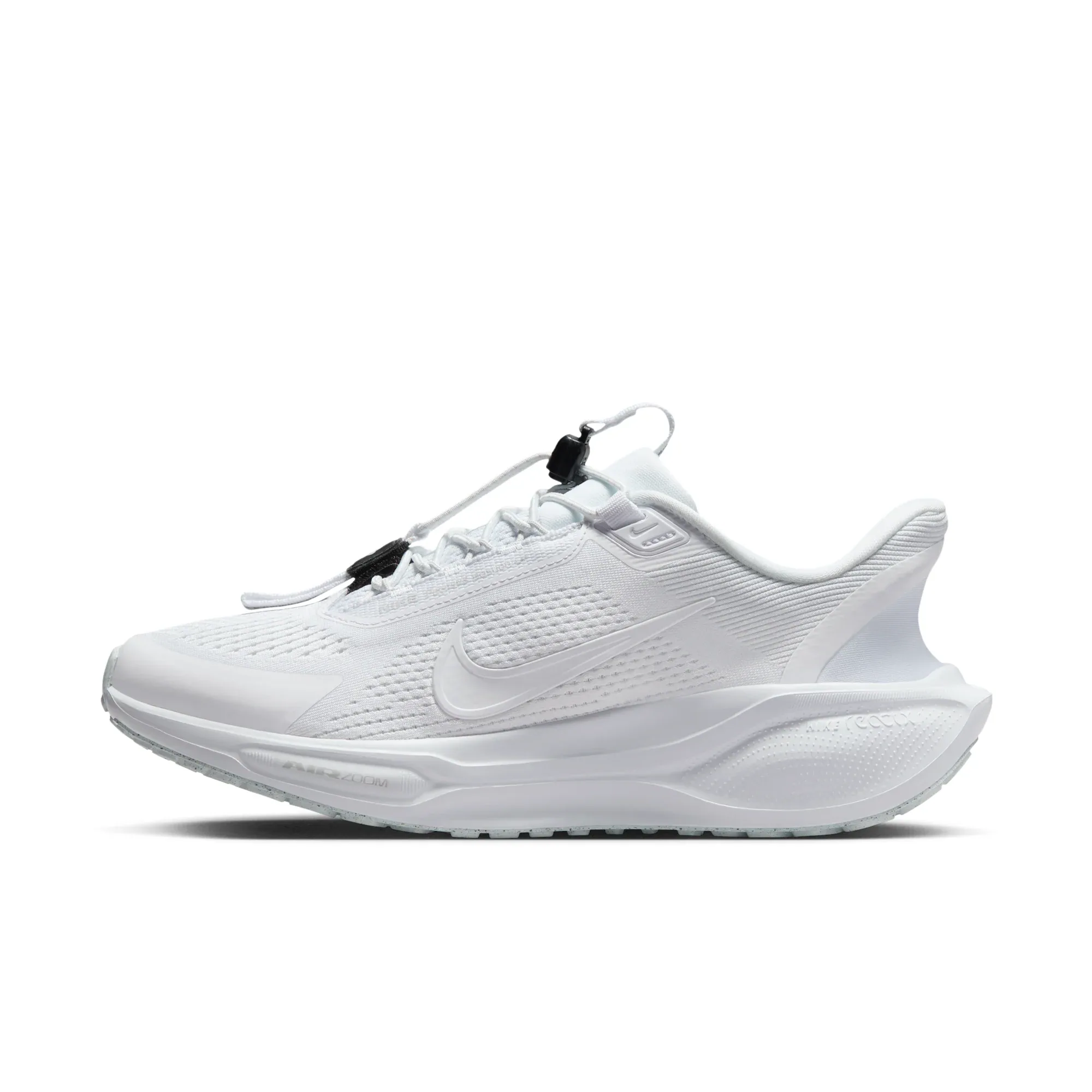 Nike Pegasus EasyOn