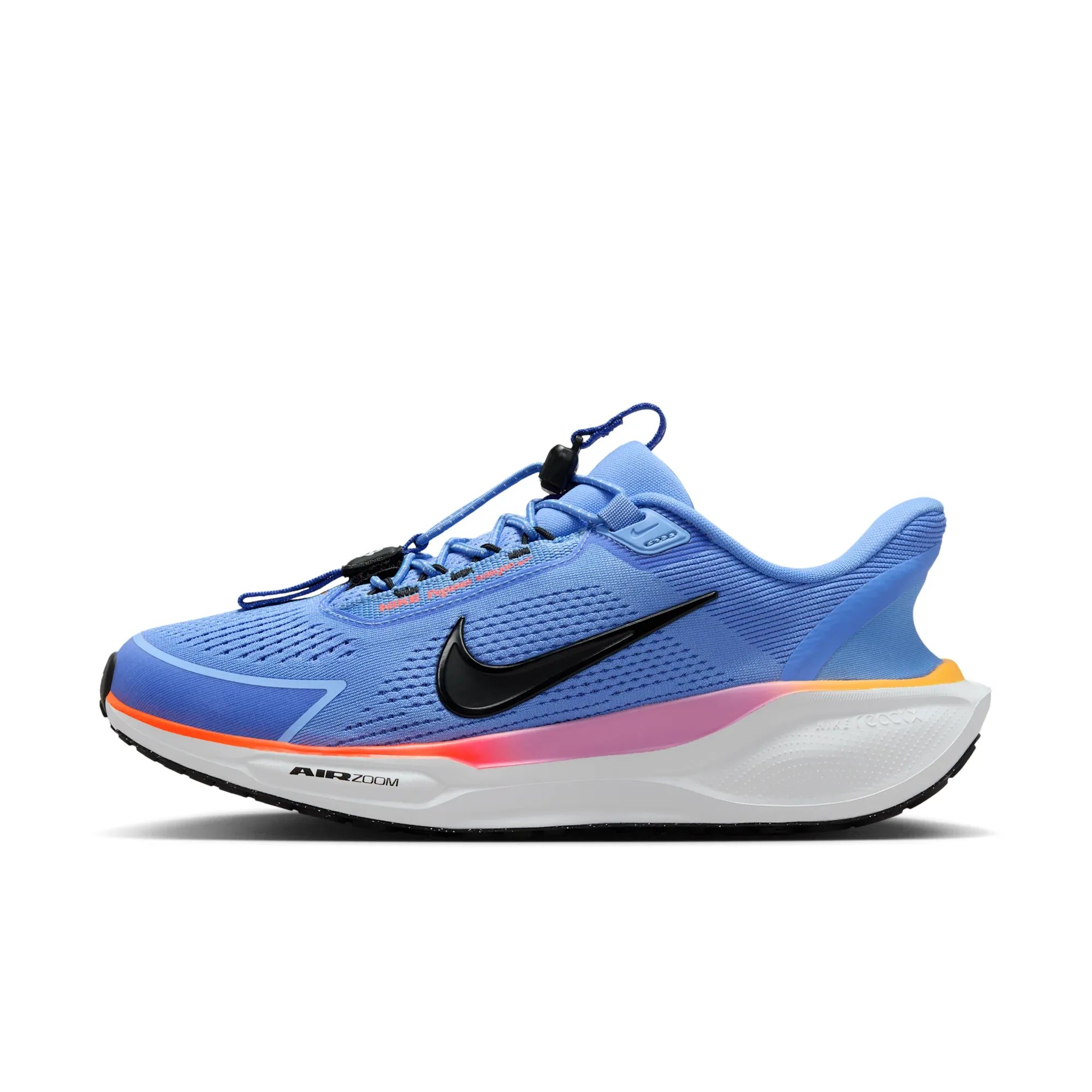 Nike Pegasus EasyOn