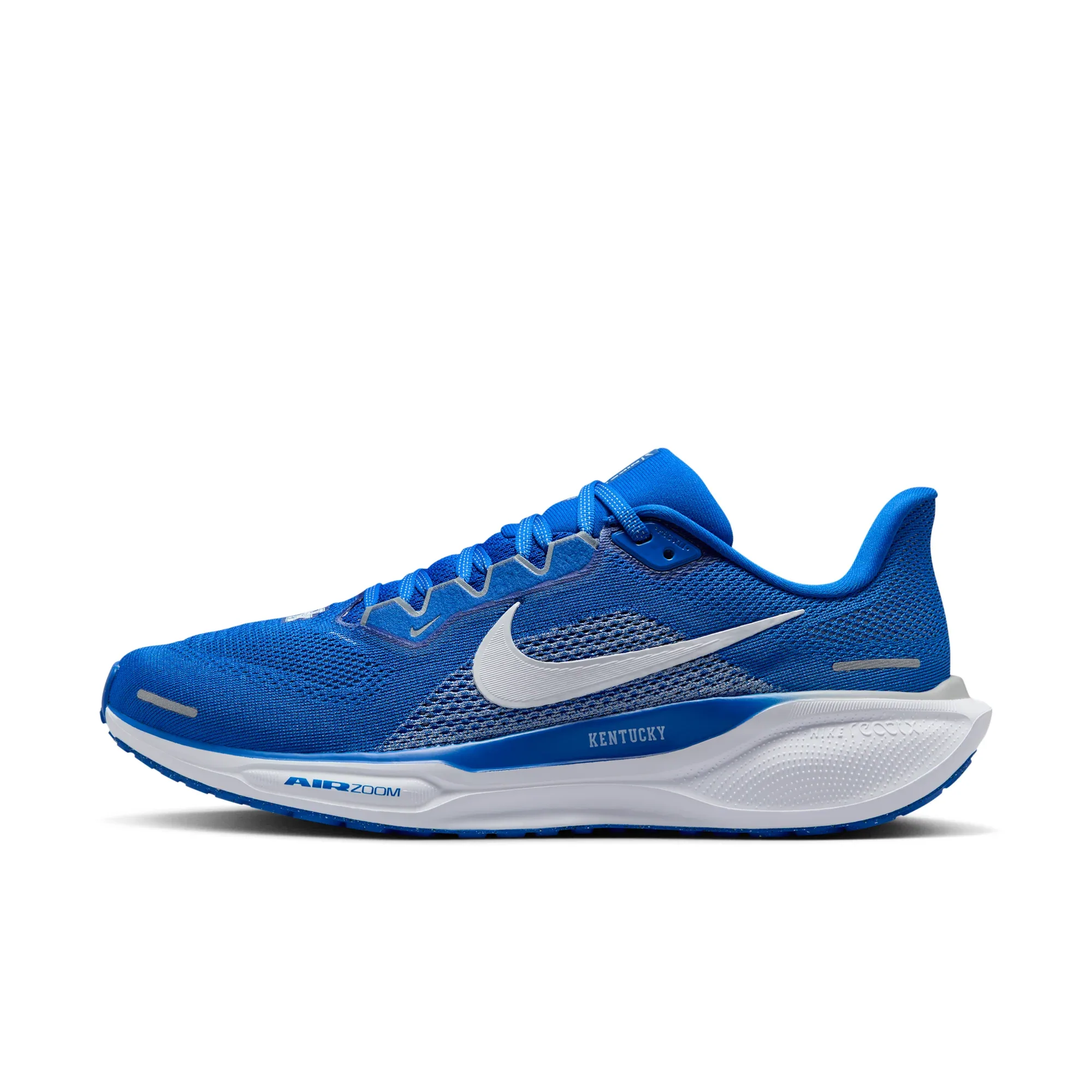 Kentucky Pegasus 41