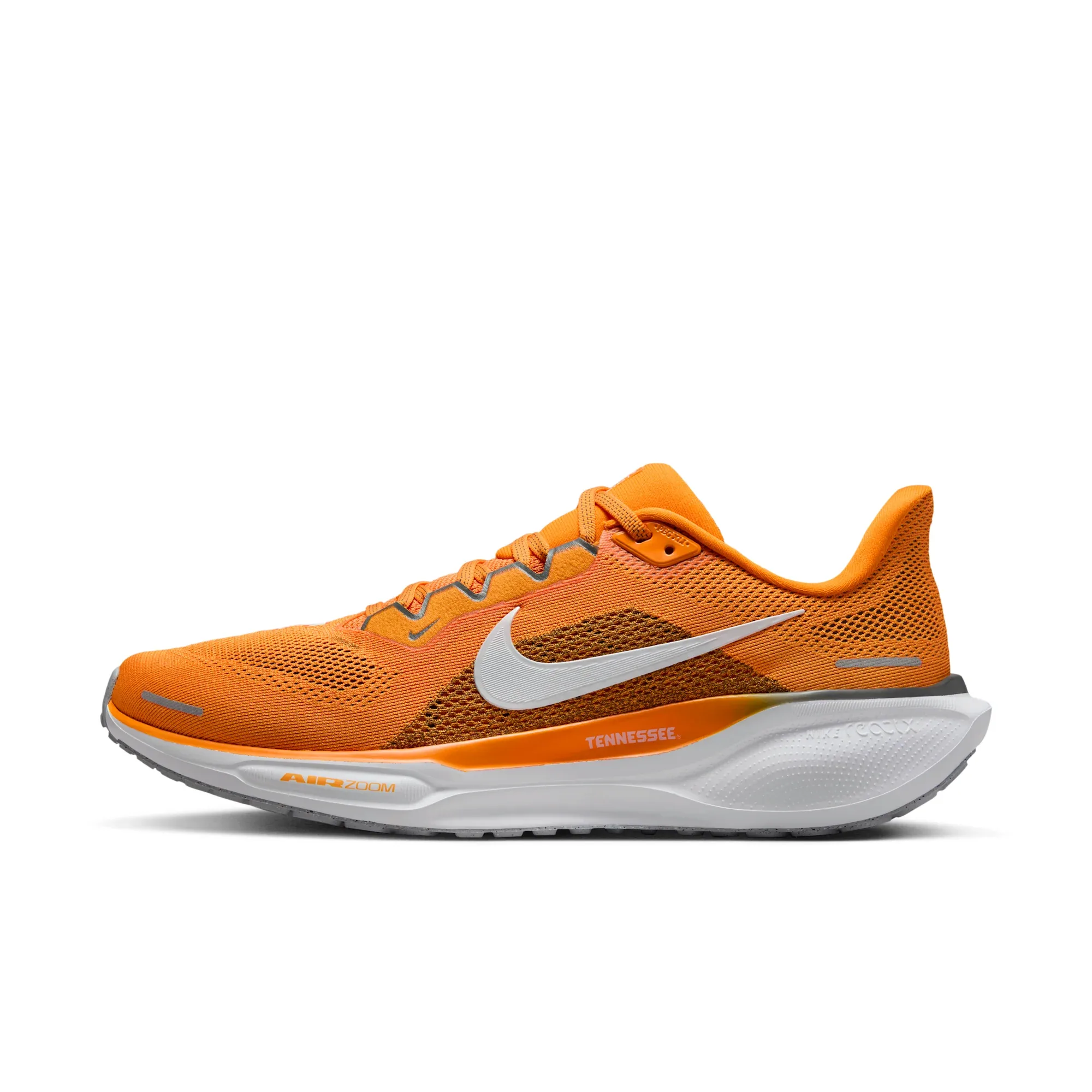 Tennessee Pegasus 41